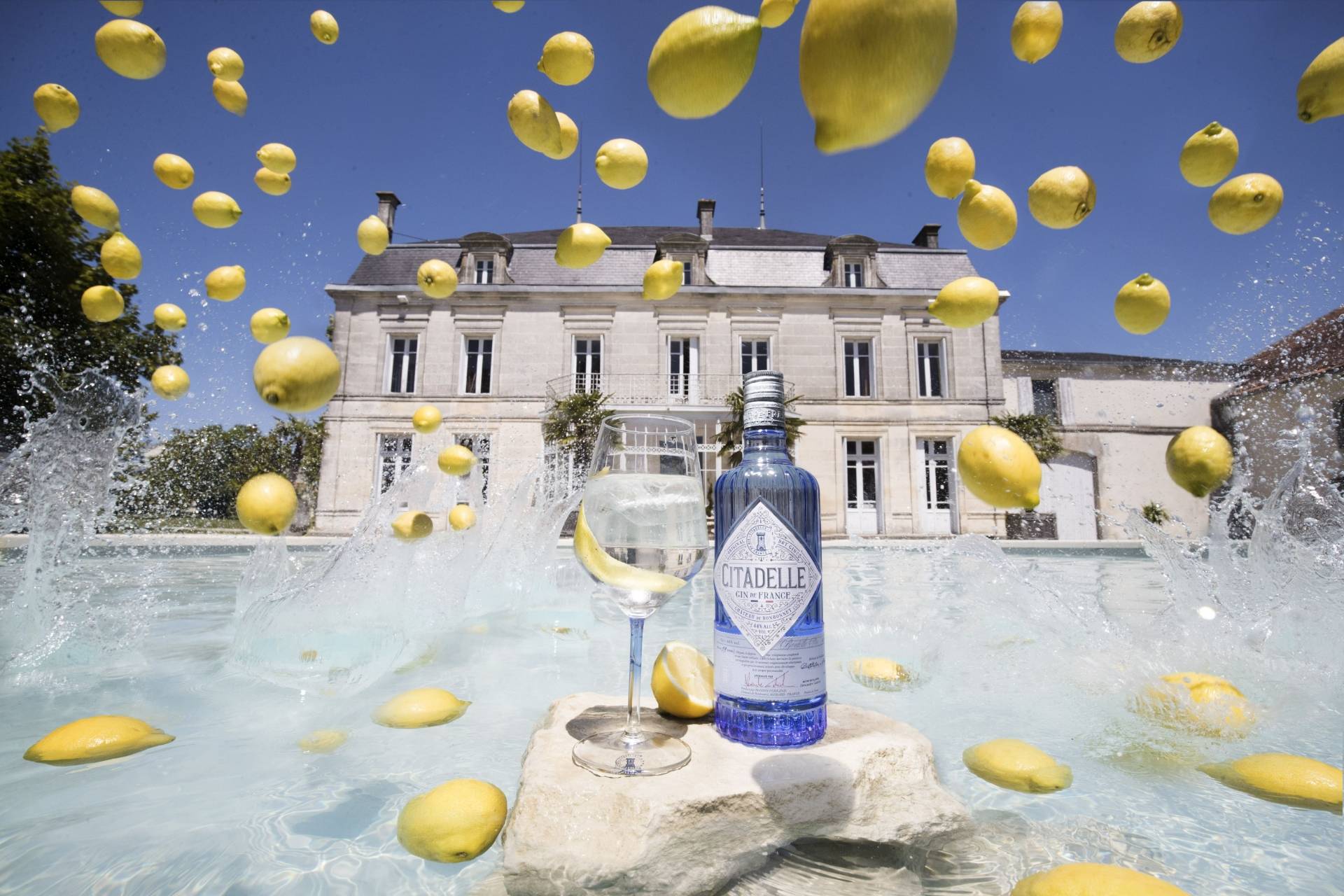 DISTILLERIE DE CITADELLE GIN