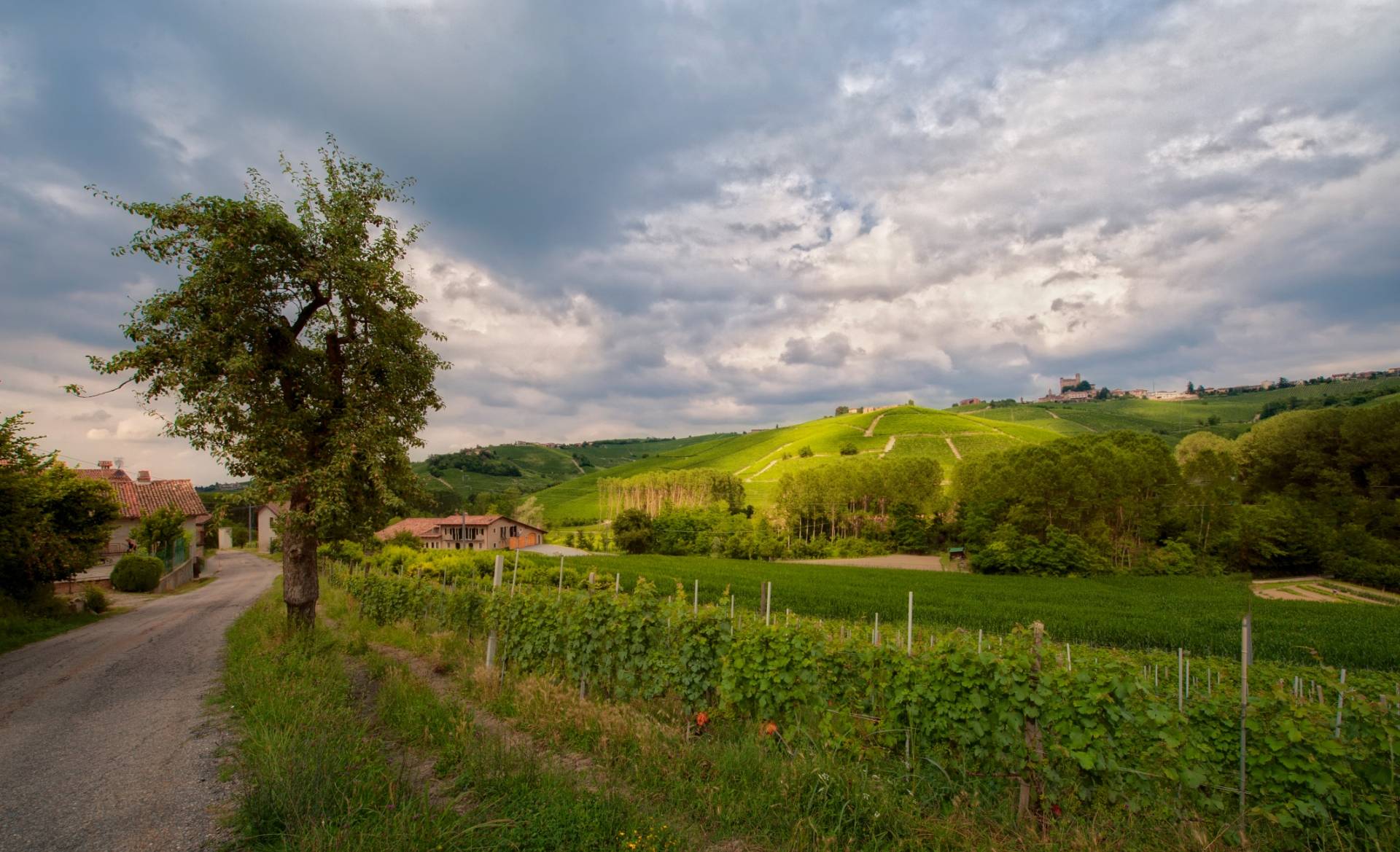 SARA VEZZA – JOSETTA SAFFIRIO