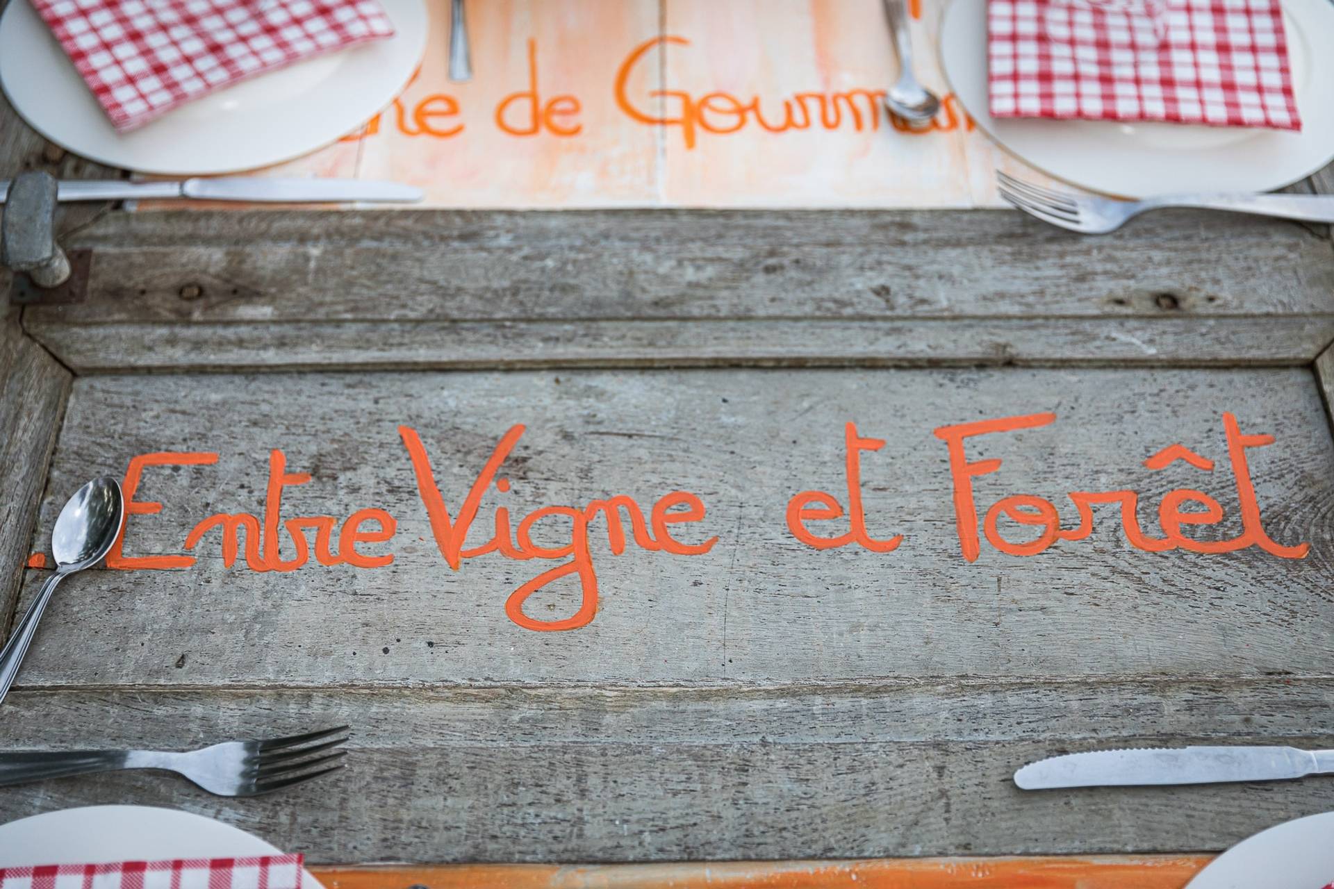 Explore the vineyard on an electric scooter