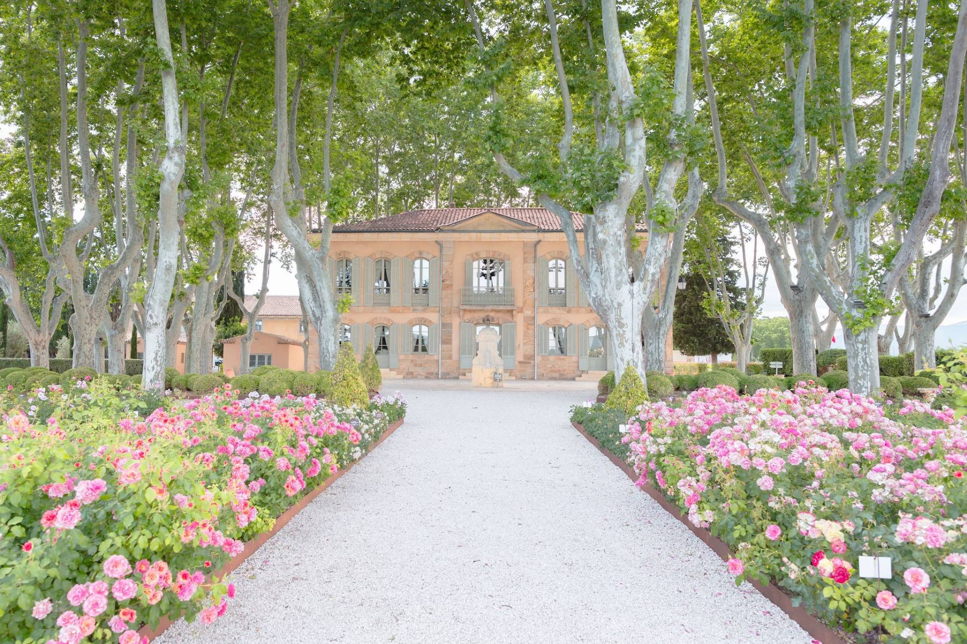 Guided tour and tasting of our wines