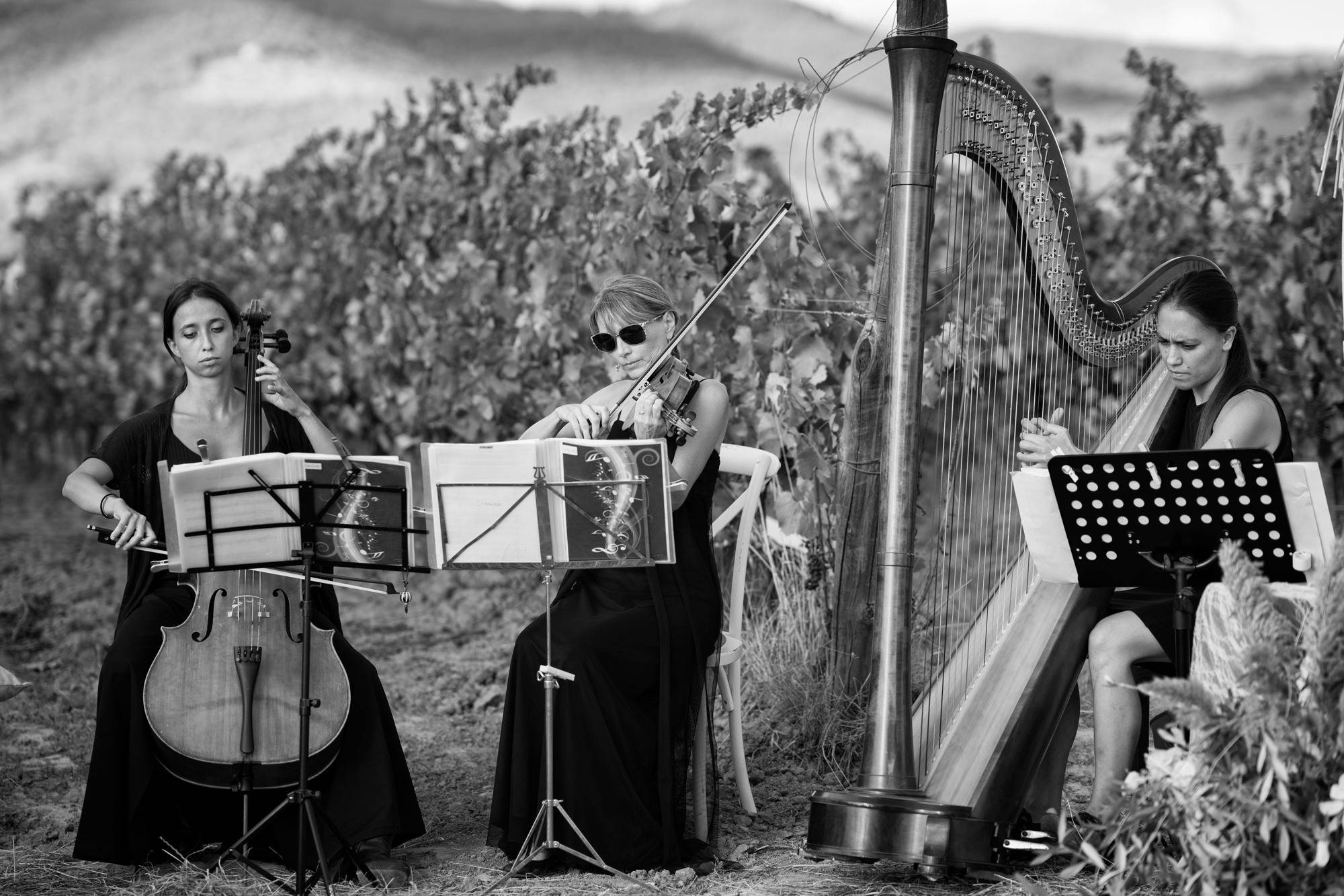 The soul of Wine and Food