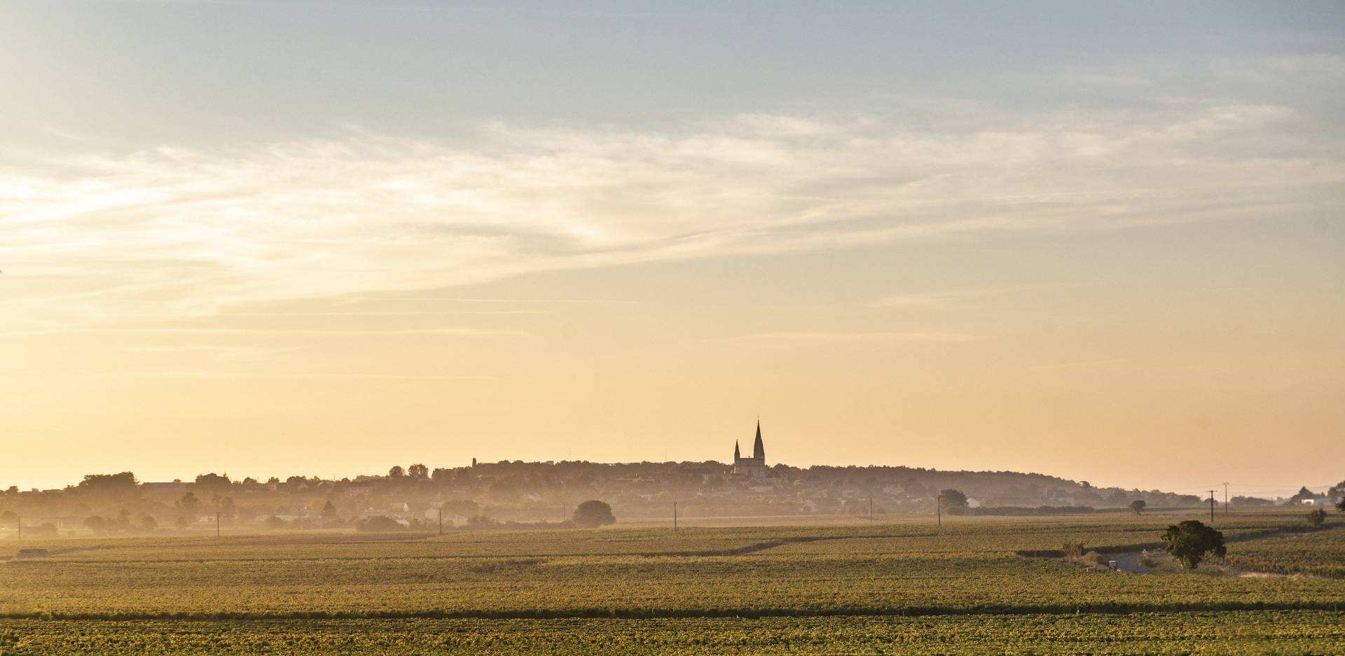 DOMAINE DU VIEUX PRESSOIR