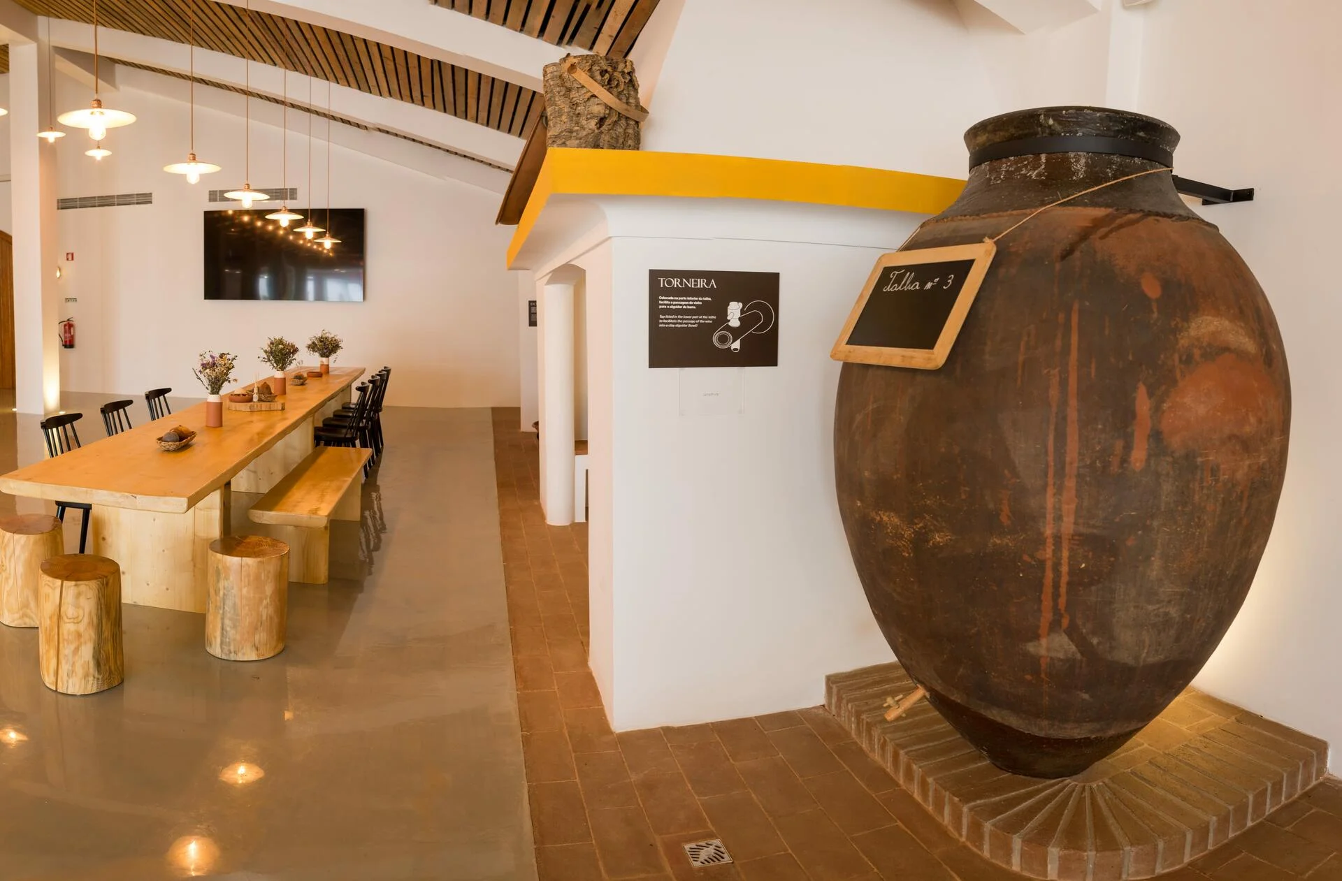 Adega de Vidigueira – Visita & Prova Premium