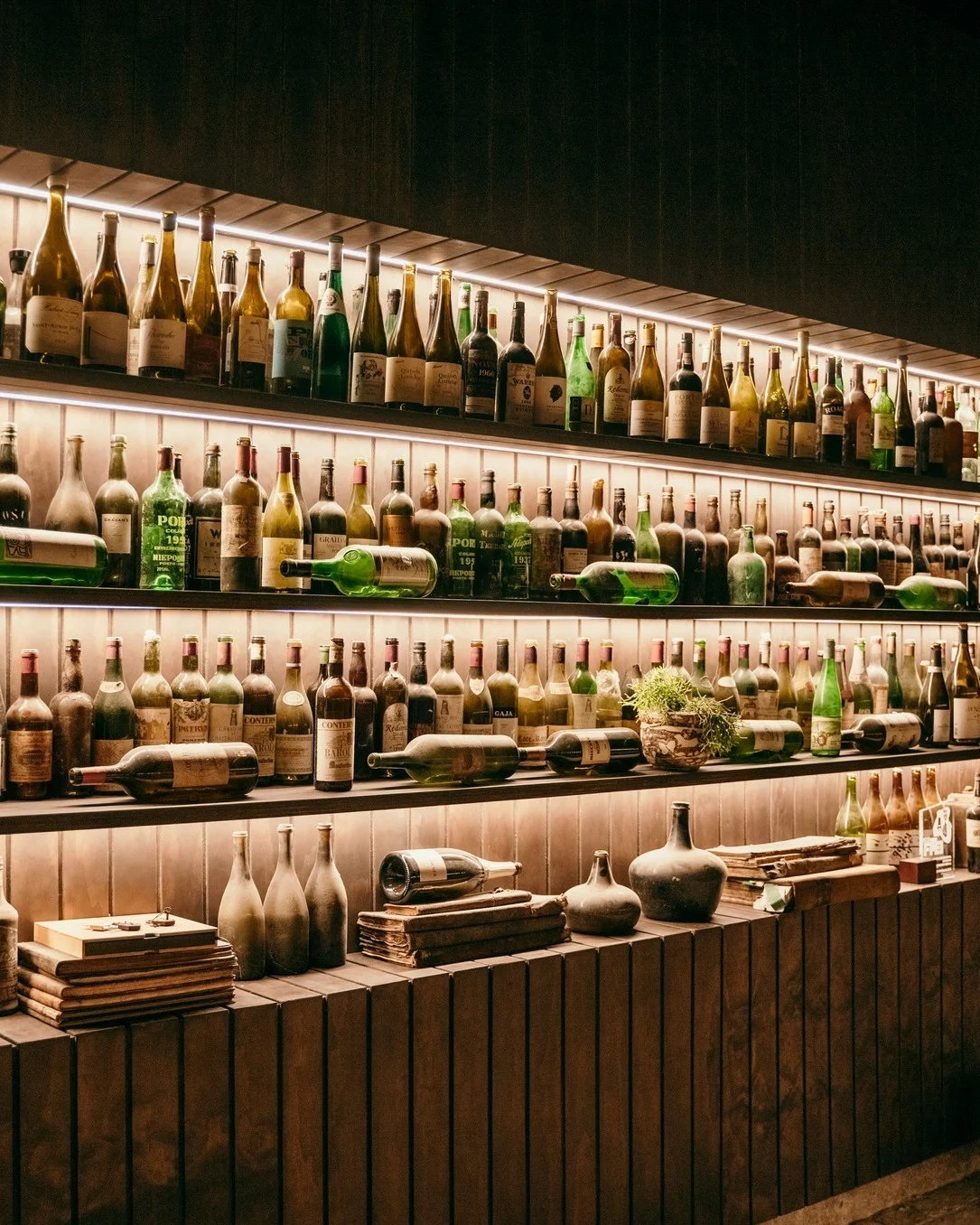 Caves Niepoort – Niepoort & Friends