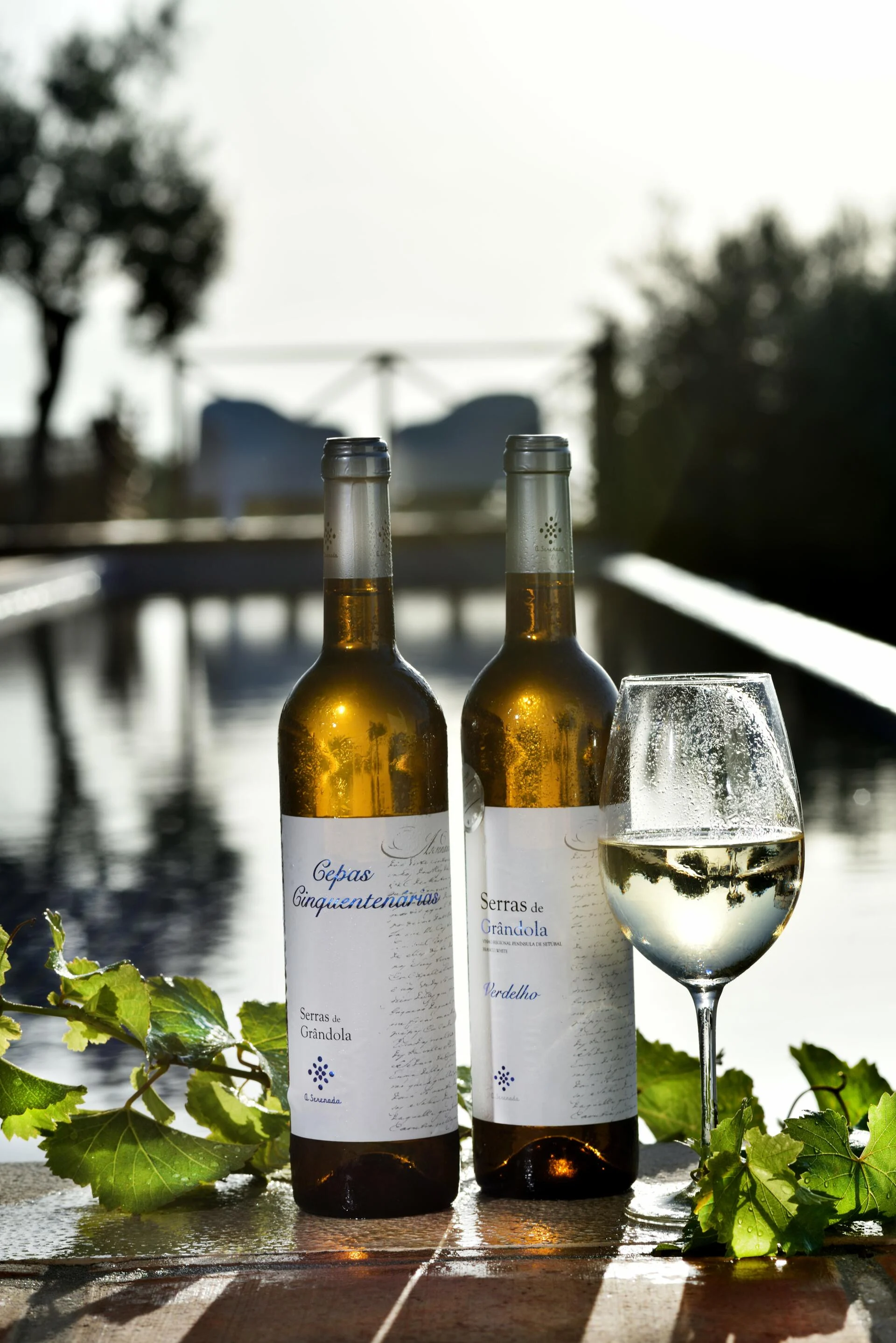 A Serenada – Prova de 4 Vinhos