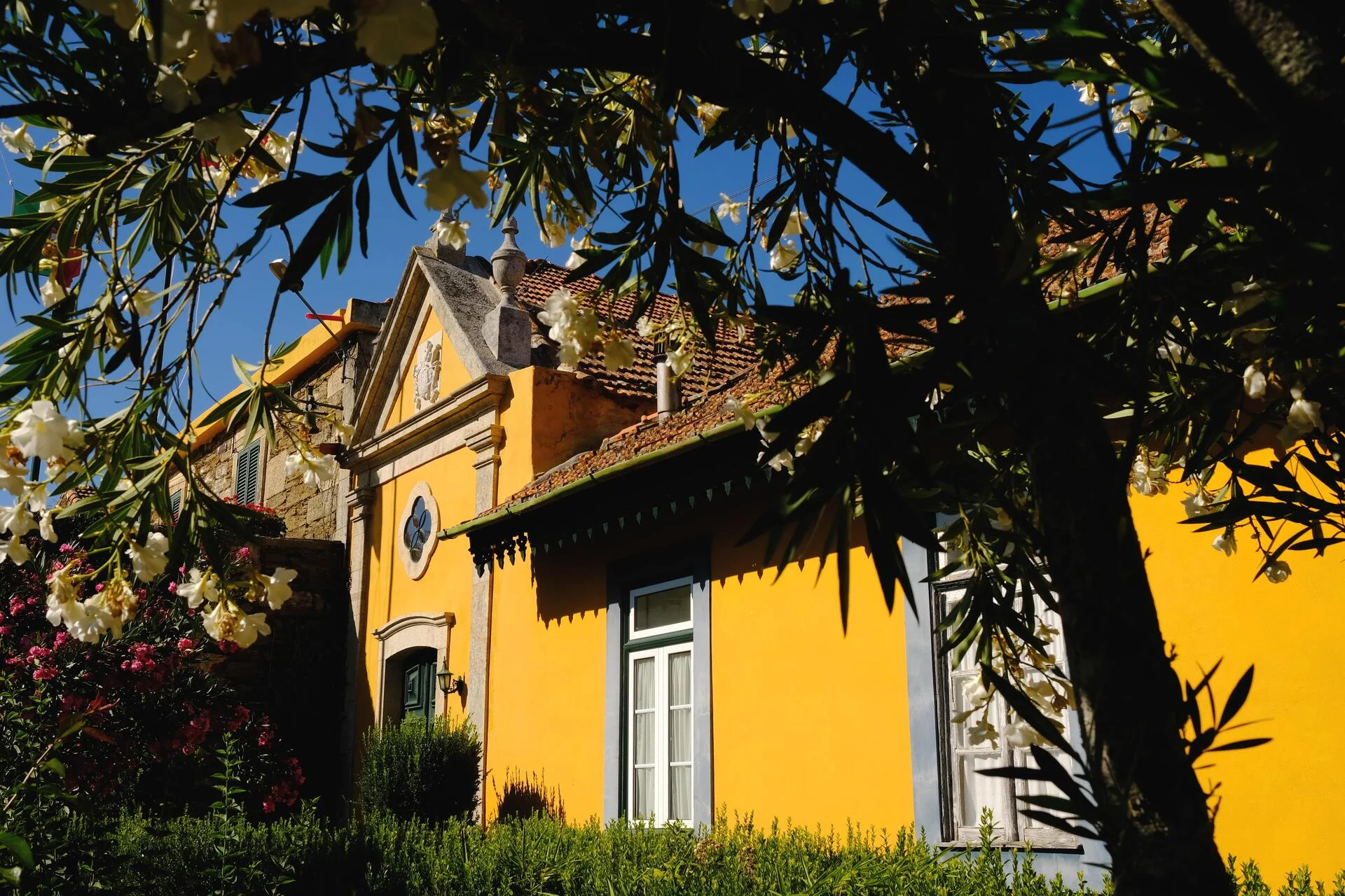 Quinta do Monte Travesso – Visita & Prova Premium