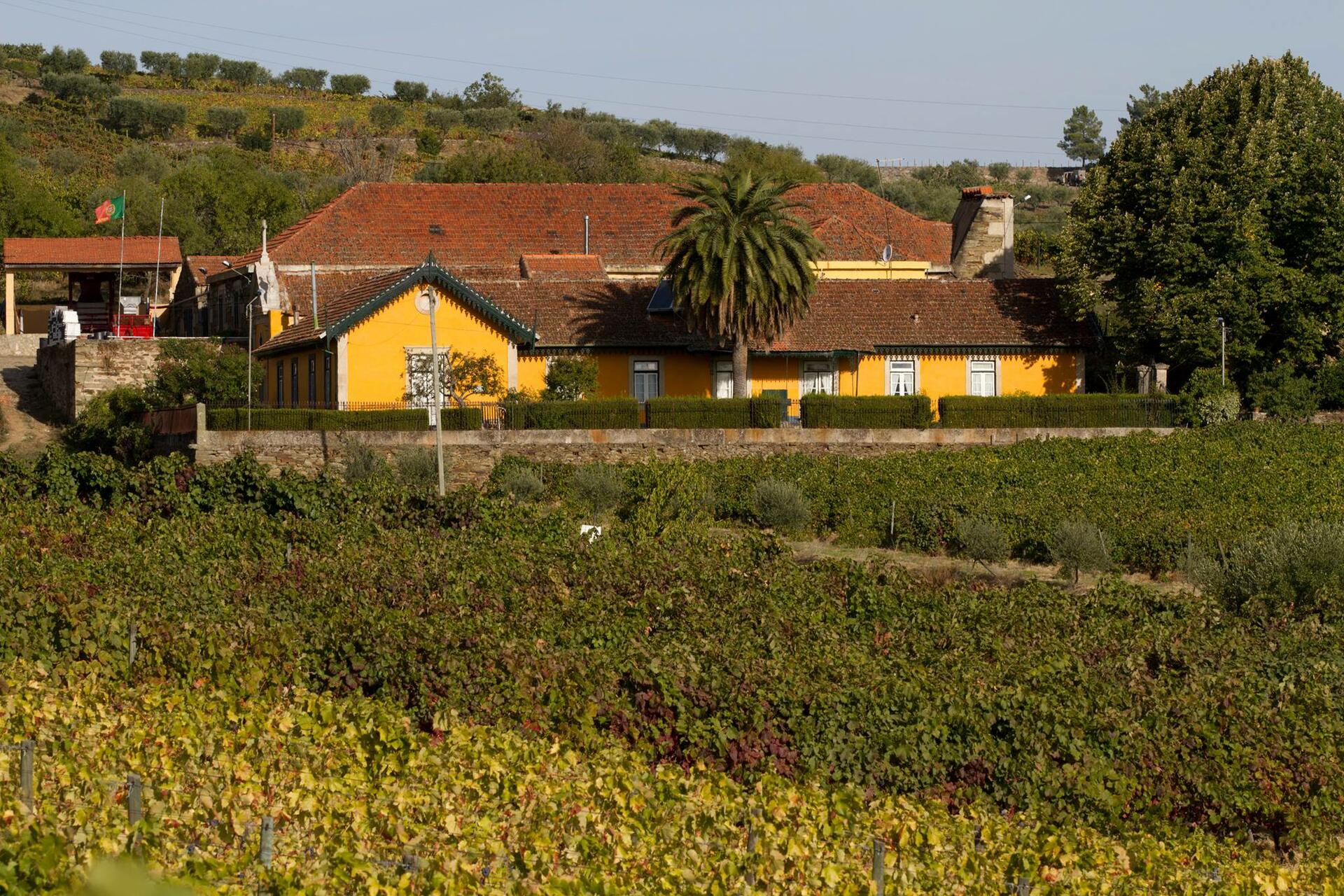 Quinta do Monte Travesso – Piquenique Regional