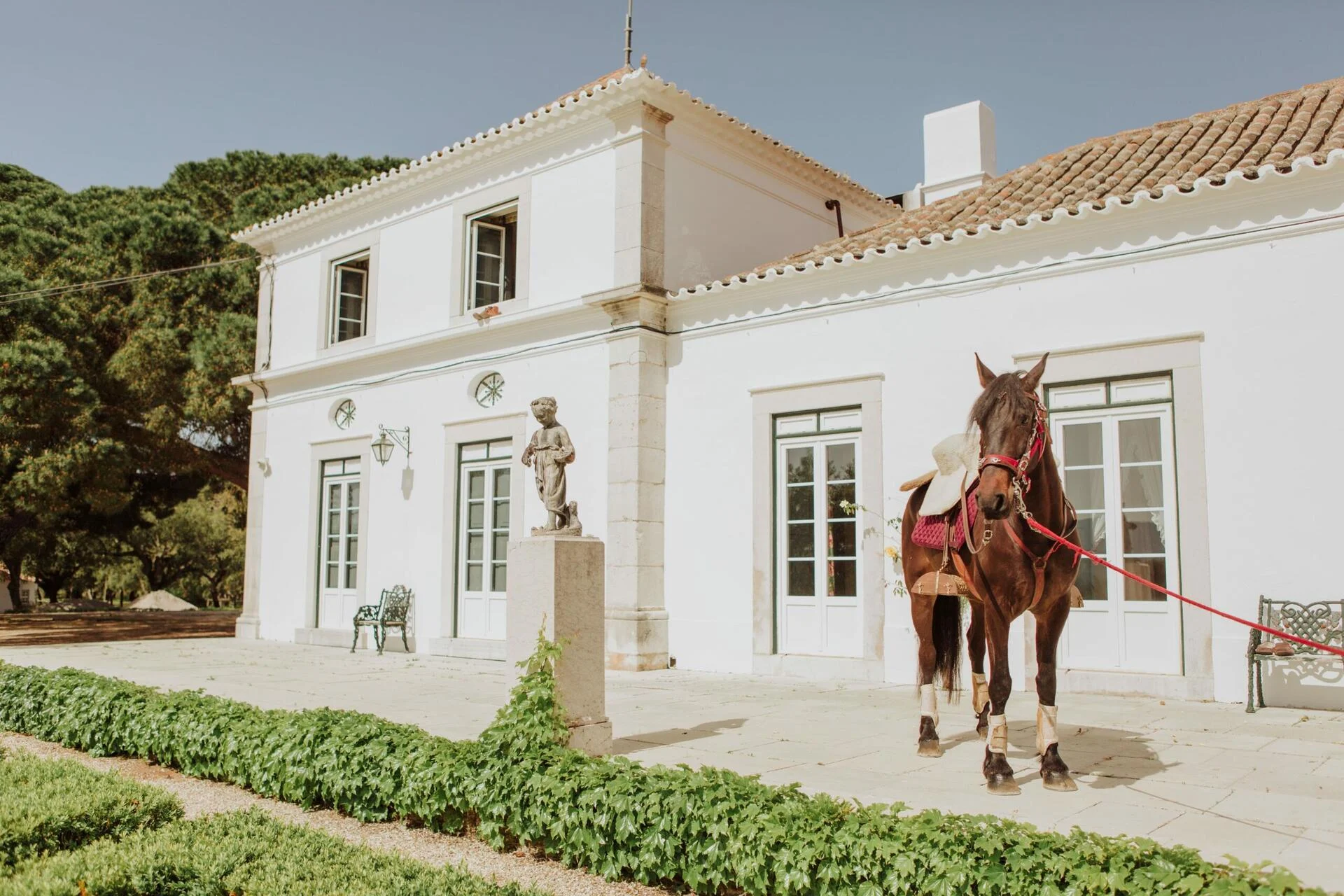 Herdade do Perú – Visita Privada & Prova Expert