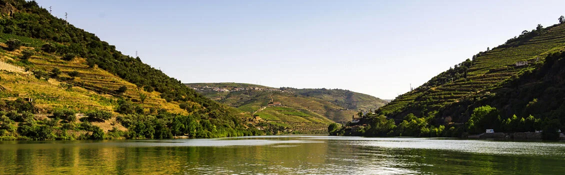 Régua-Pinhão-Régua| Subida e Descida