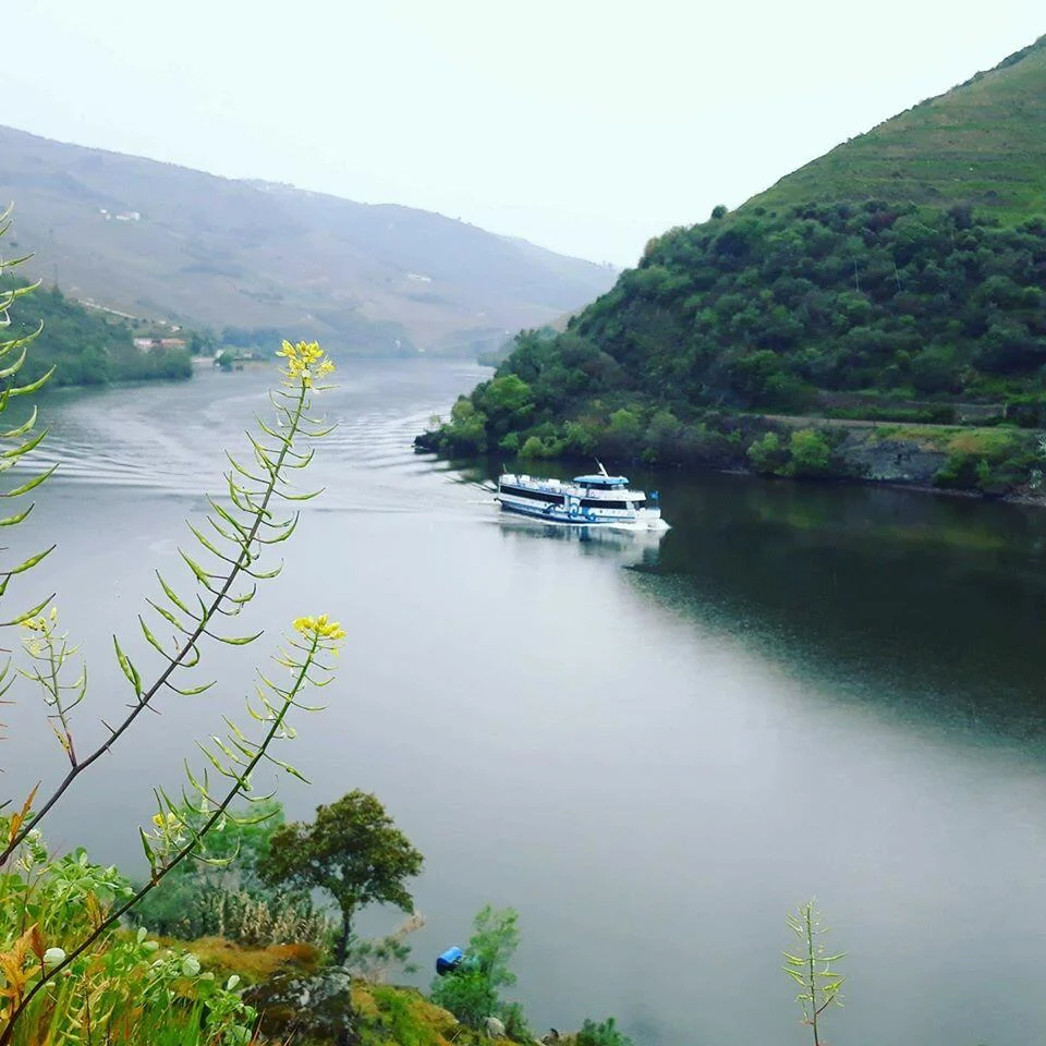 Régua-Pinhão-Régua| Subida e Descida