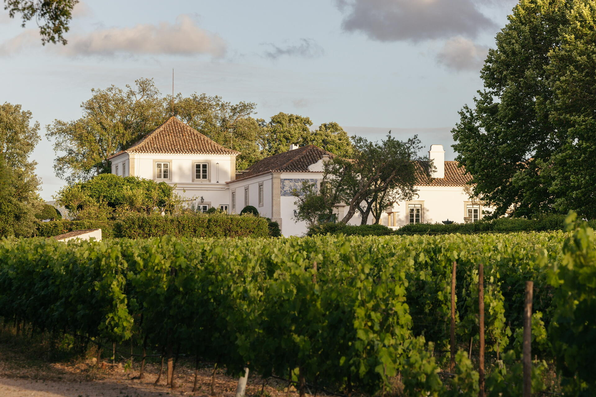 Herdade do Perú – Visita & Refeição na Adega