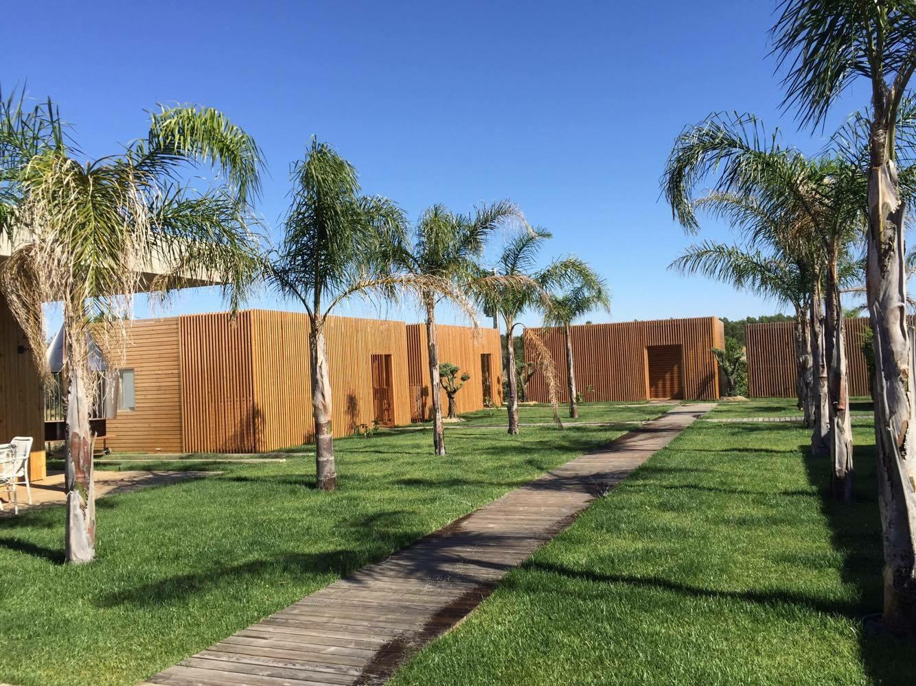 Herdade da Rocha – Vindimas