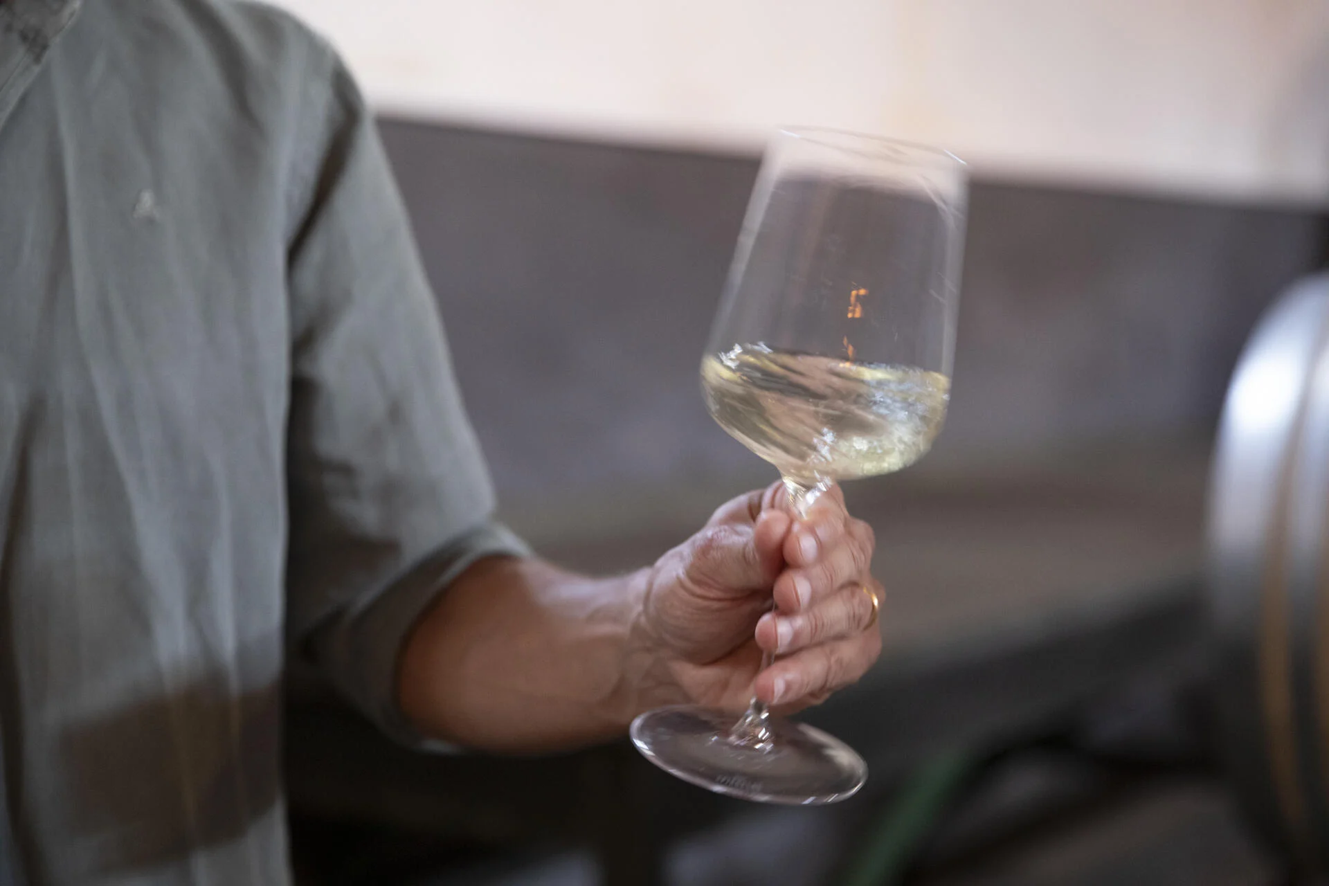 Adega Viúva Gomes – Prova Diogo & Viúva Gomes