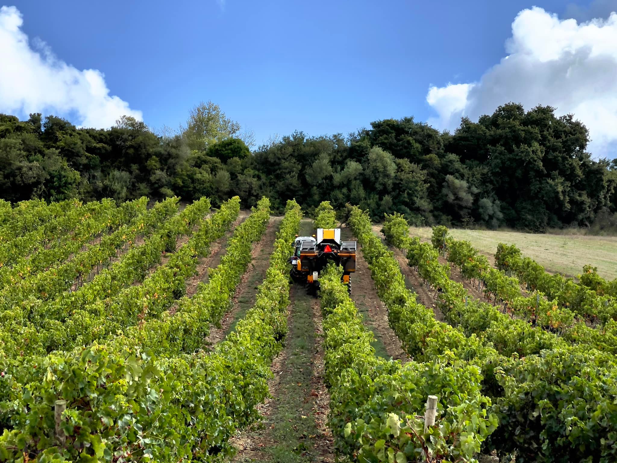 Quinta do Cerrado da Porta – Prova Experts