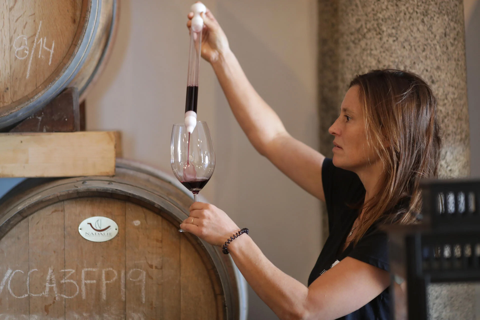 Vinhos & Cultura do Alentejo