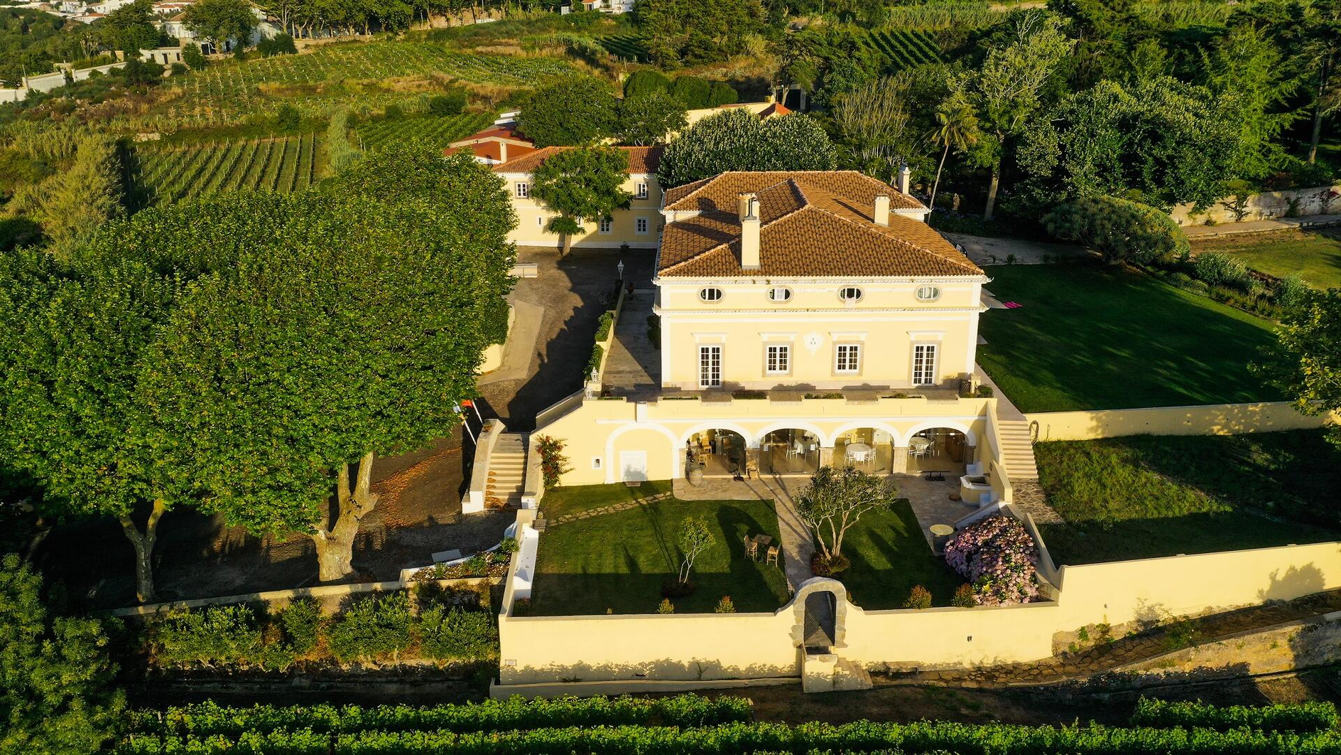 Casal Sta. Maria – Blending Vinho Personalizado