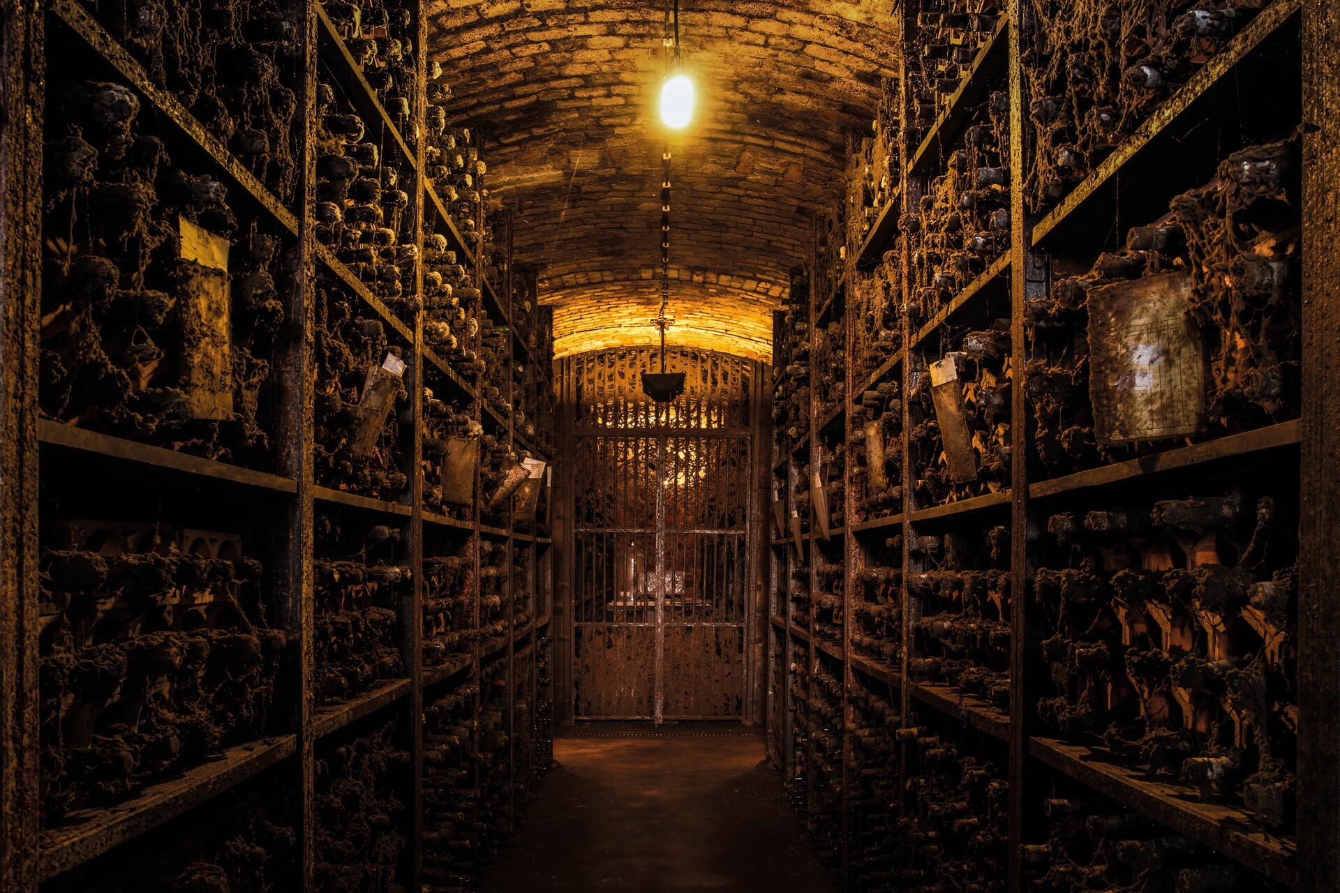 Real Companhia Velha – Visita Fundadores