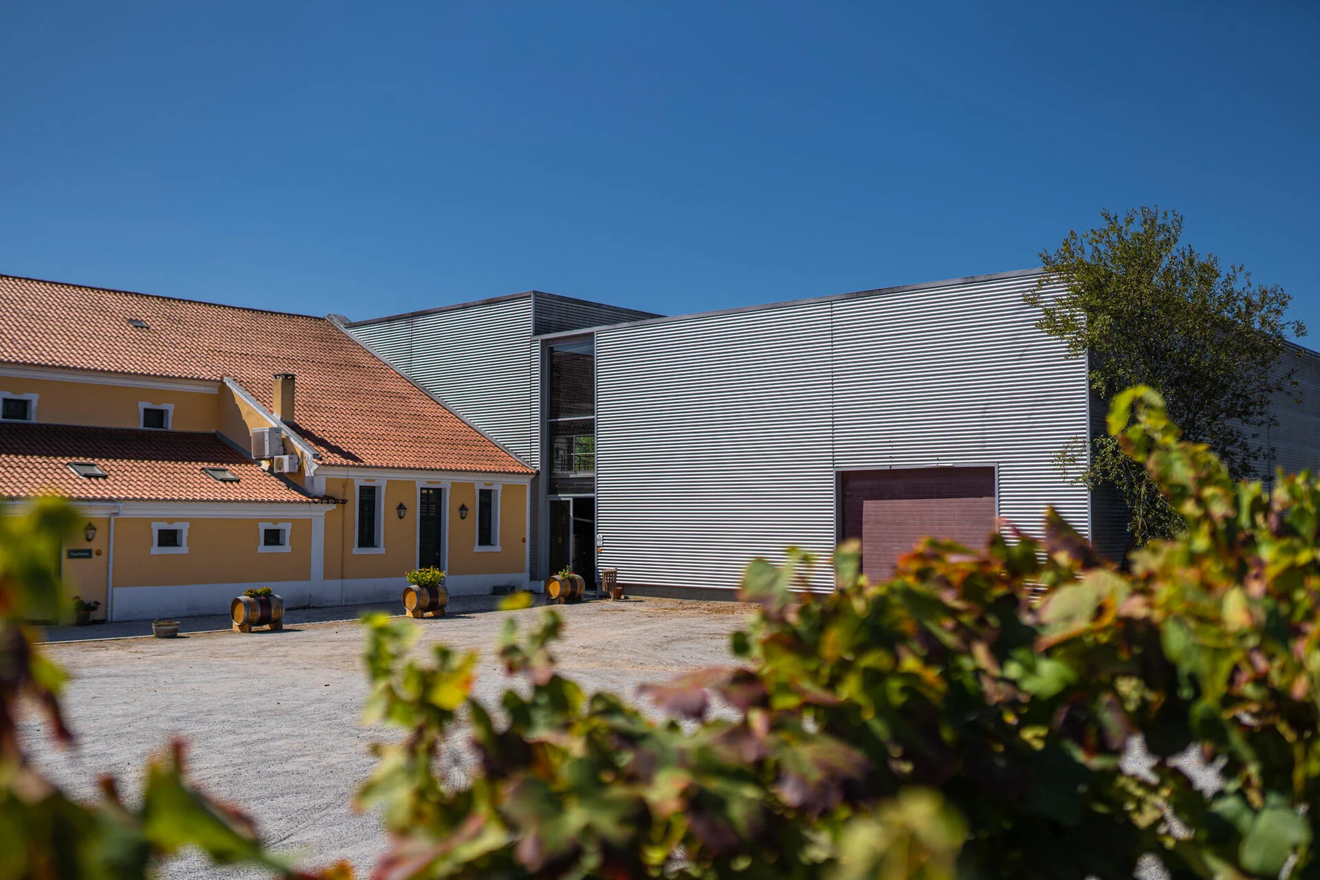 Companhia das Lezírias – Visita & Prova 5 Sentidos