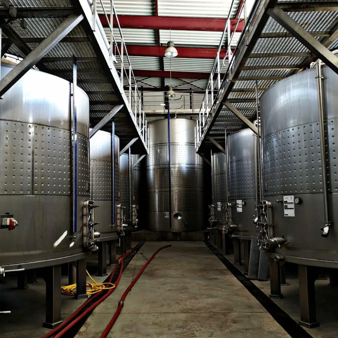 Companhia das Lezírias – À Descoberta do Terroir