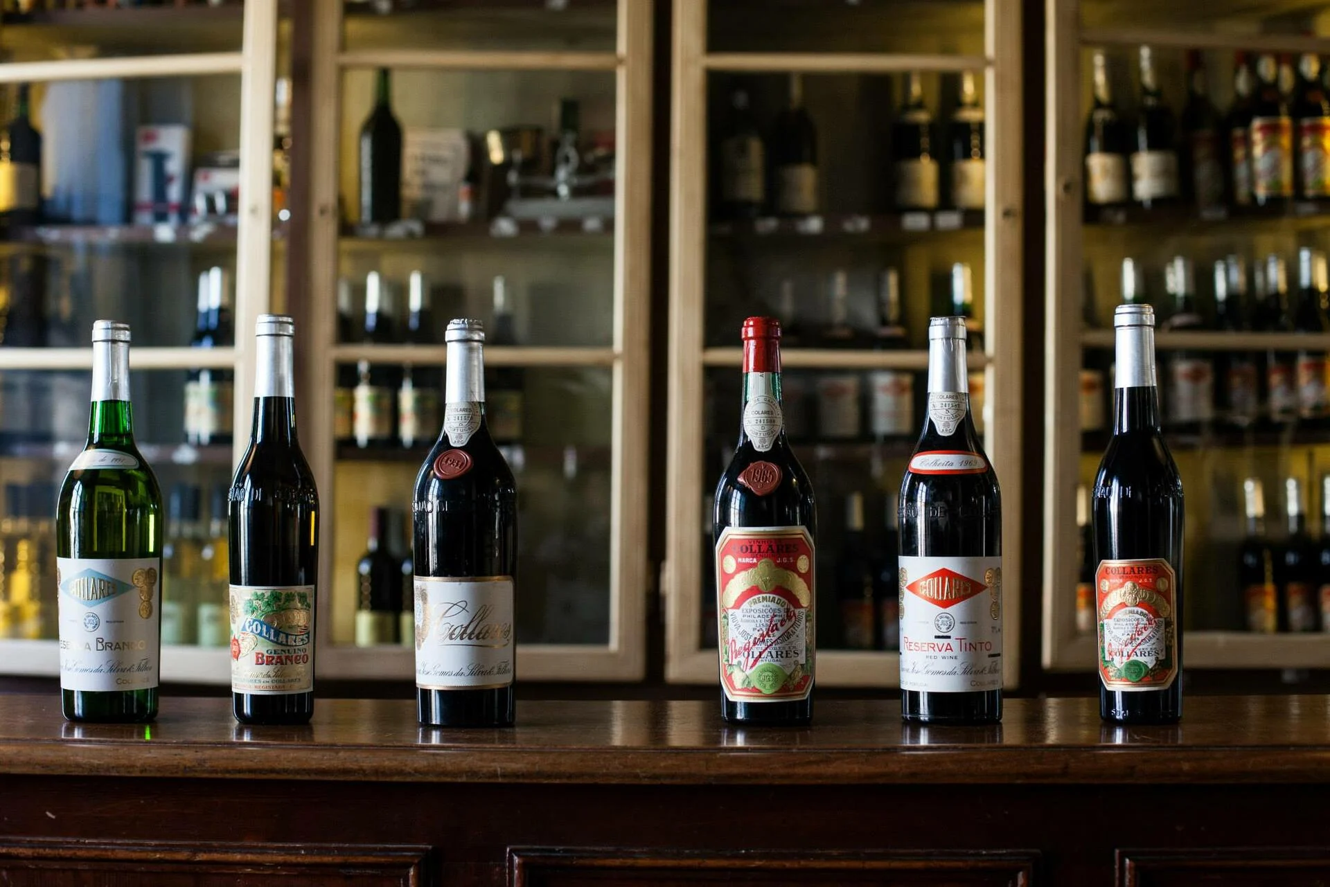 Adega Viúva Gomes – Prova Diogo & Viúva Gomes