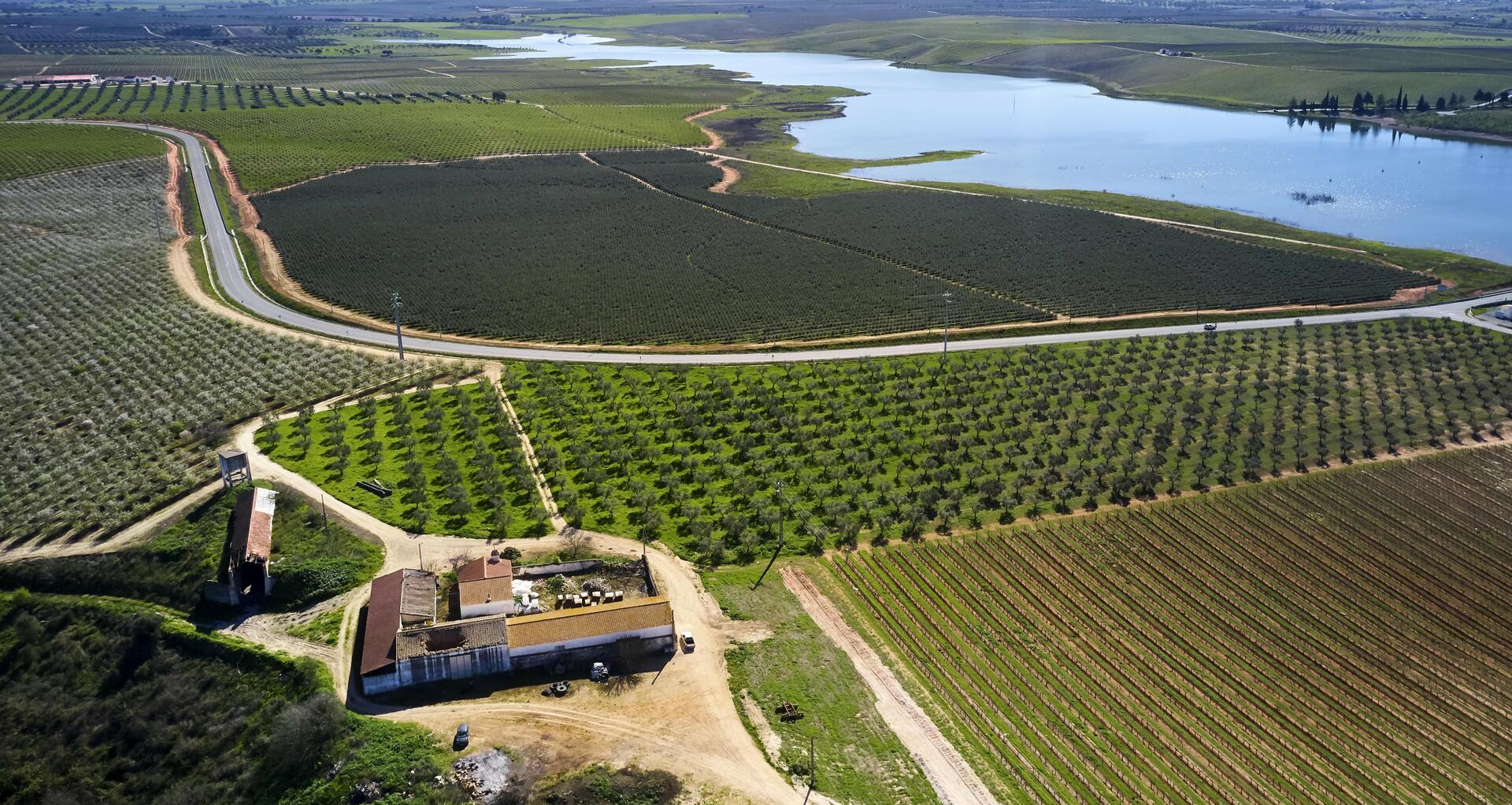 Família Margaça – Visita & Prova de Vinhos “Enxoé”