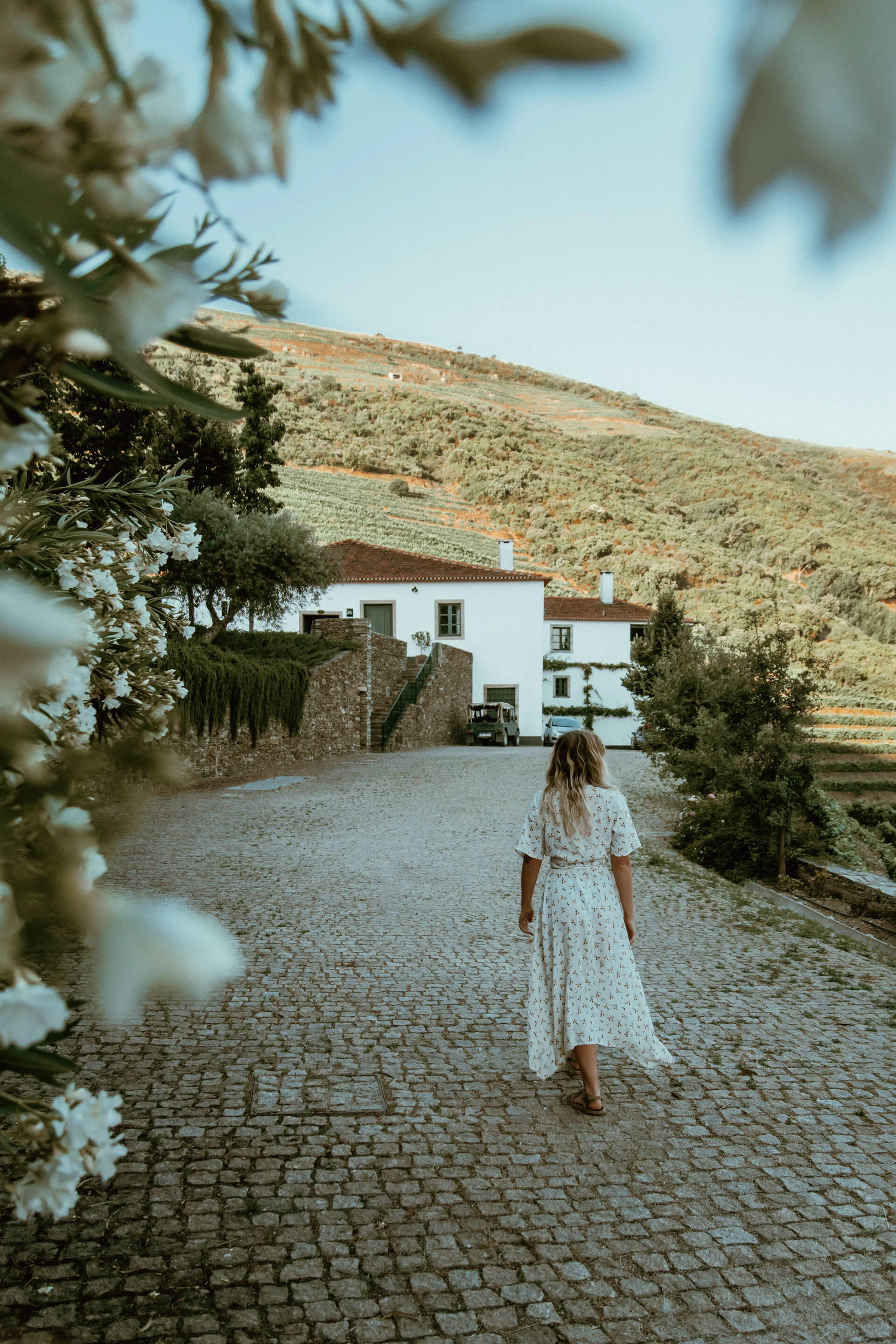 Os Aromas do Douro Vinhateiro