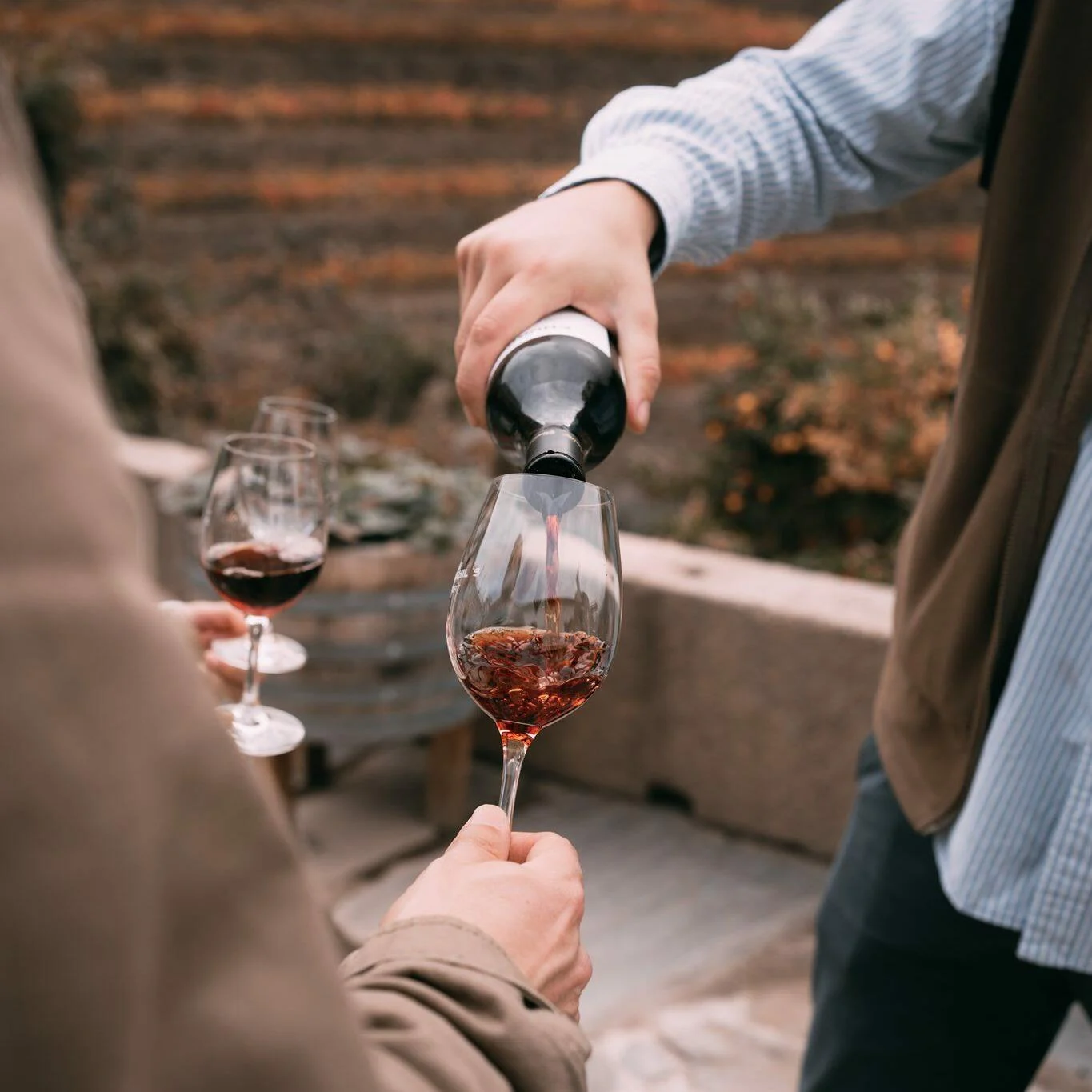 Os Aromas do Douro Vinhateiro