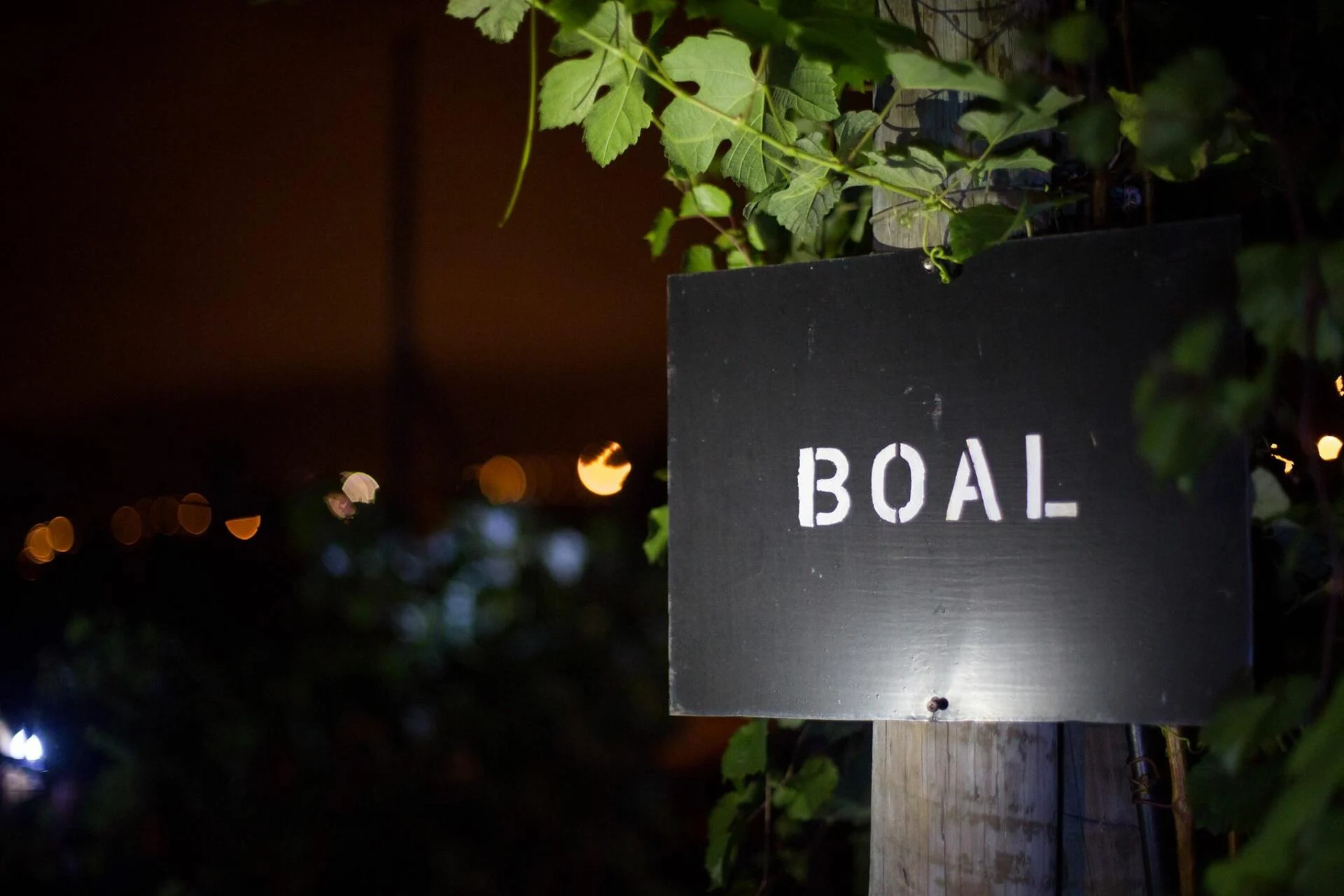 Blandy’s Madeira – Vineyards Heritage Tour