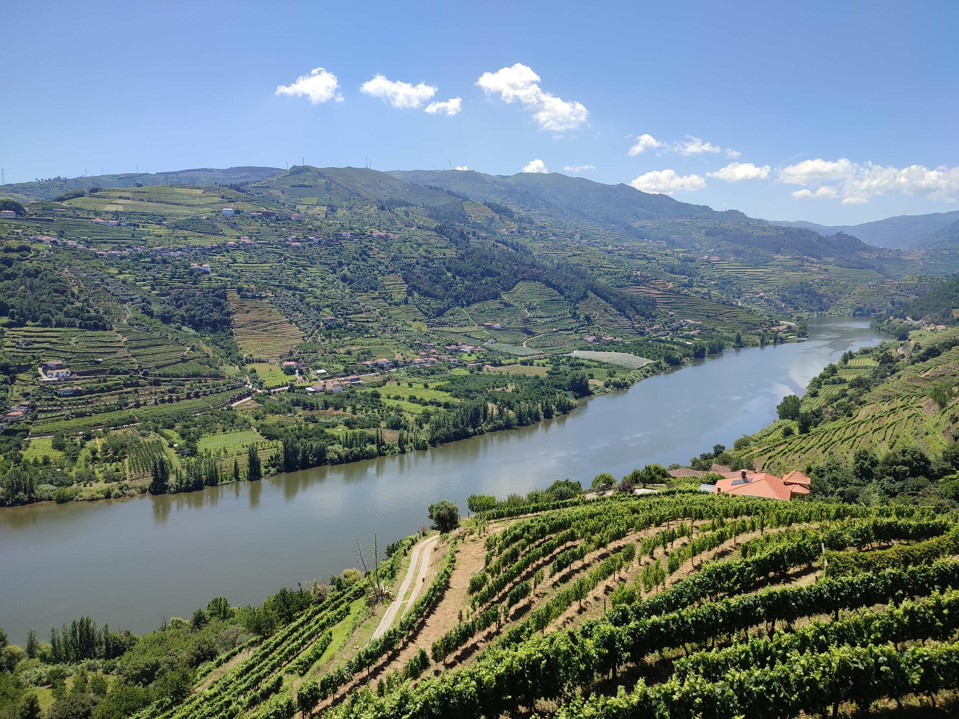 Quinta Barqueiros D’Ouro – Douro & Vinhos Verdes