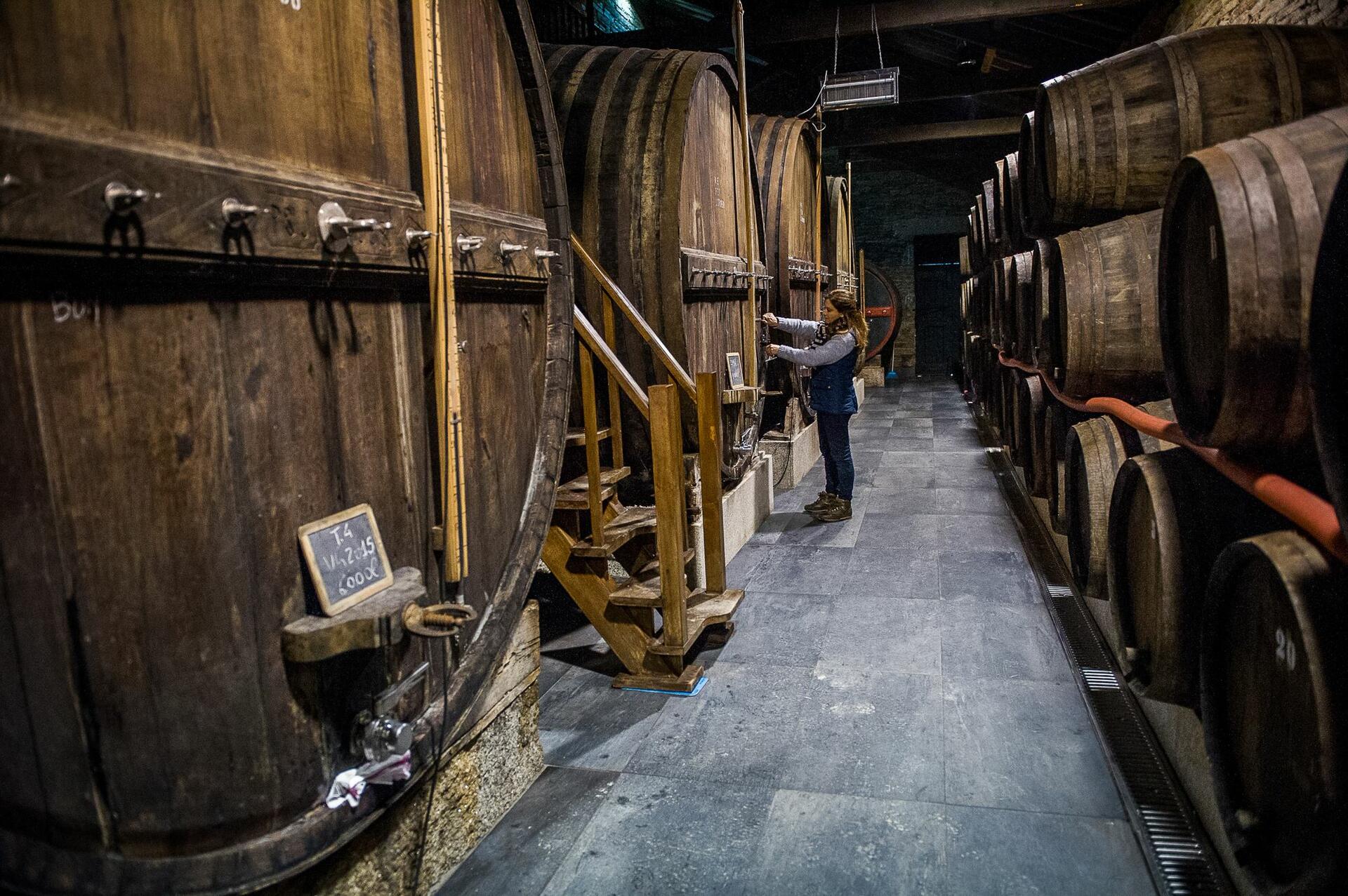 Quinta da Côrte – Piquenique