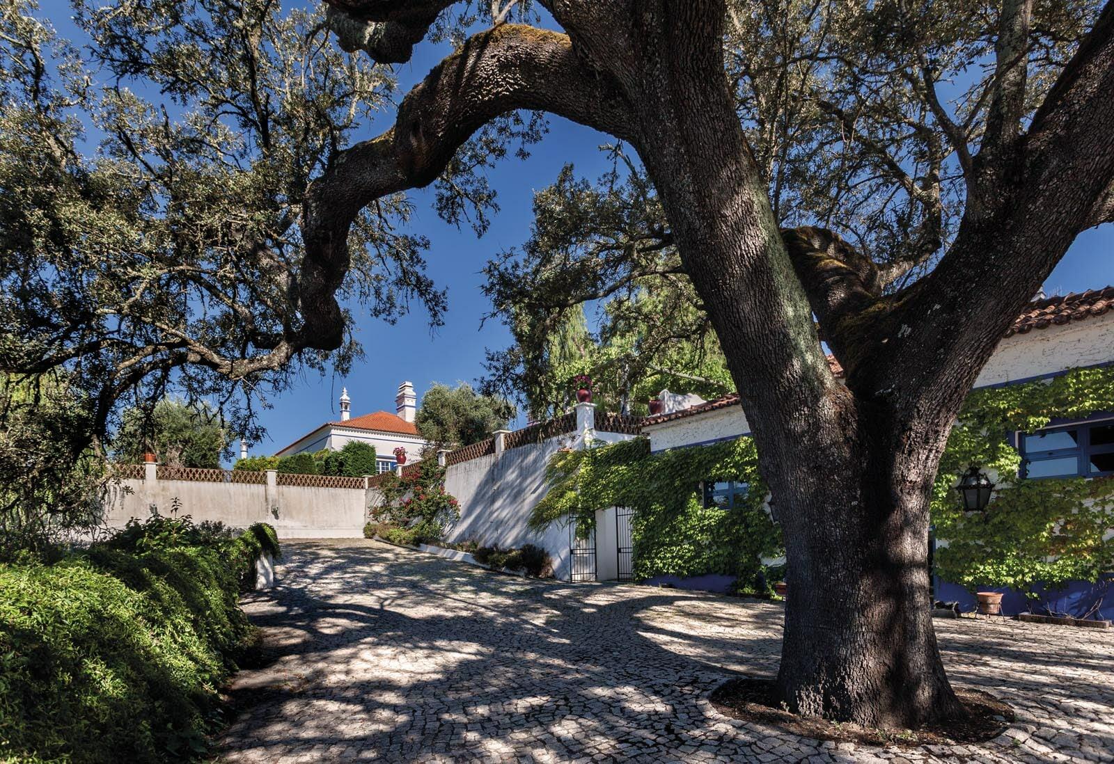 Monte da Ravasqueira – Visita & Prova Monocasta