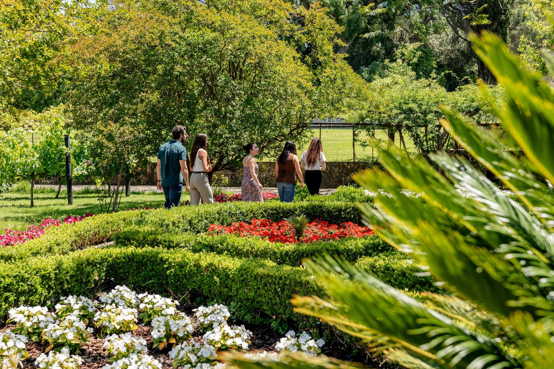 José Maria da Fonseca – Moscatéis Especiais