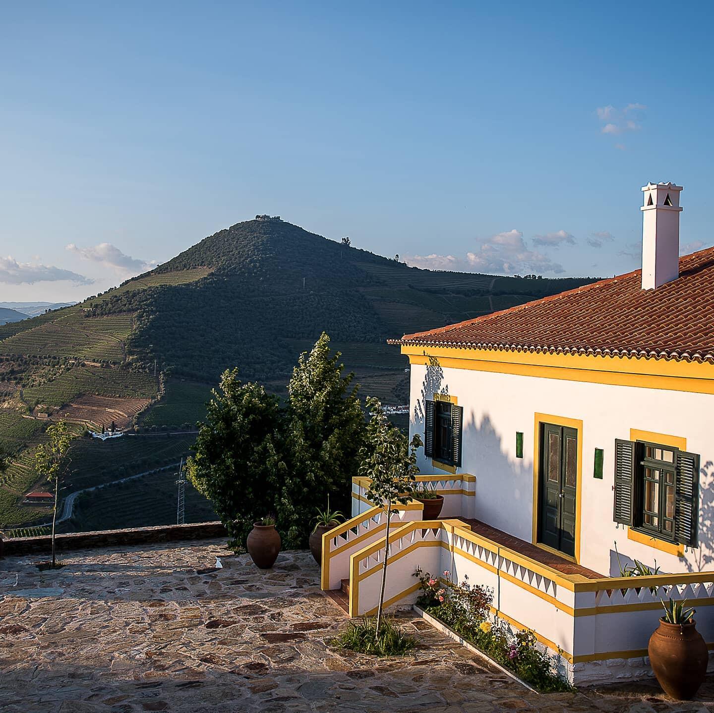 Quinta da Côrte – Um Dia de Vindima