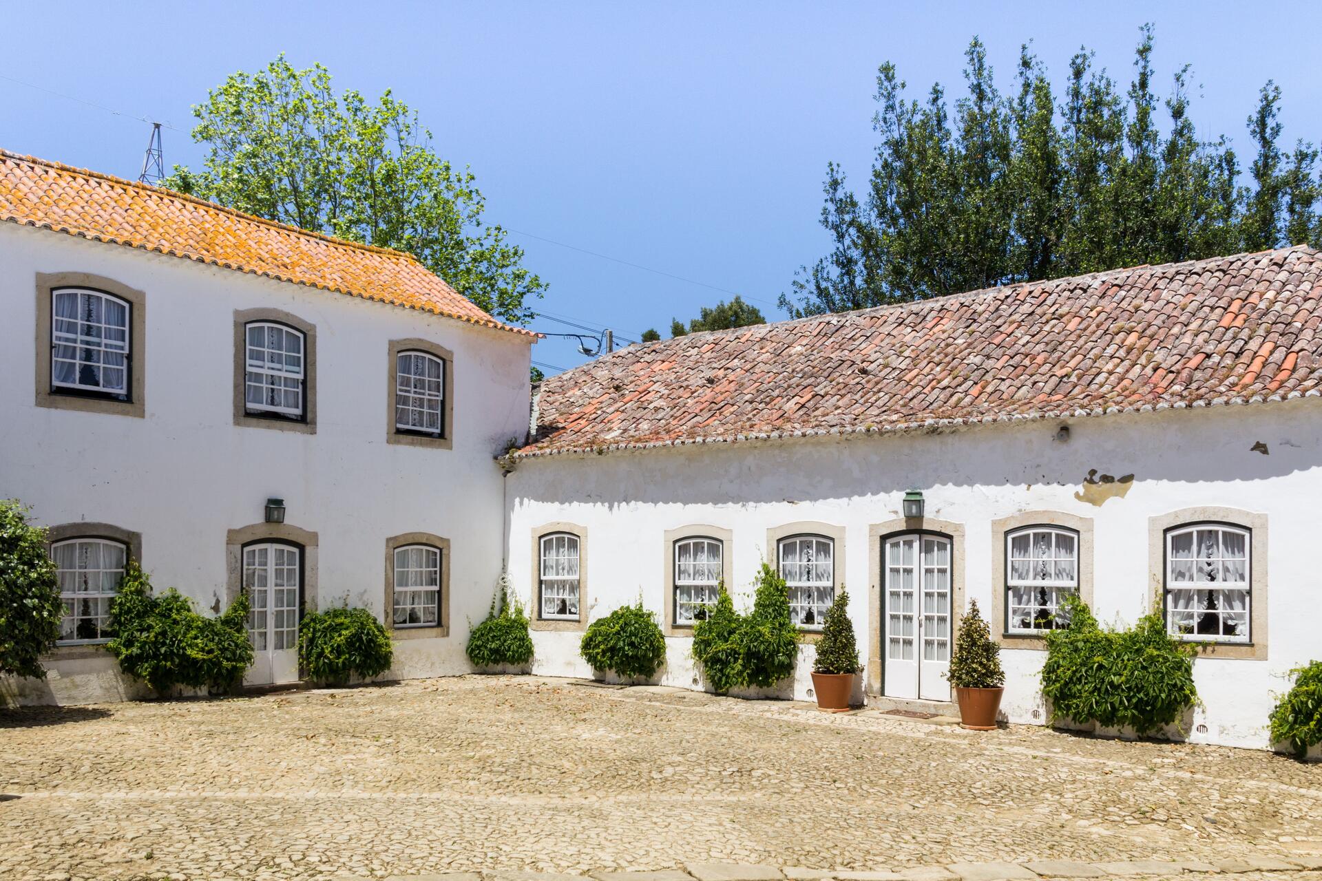 Vinhos da Costa Atlântica