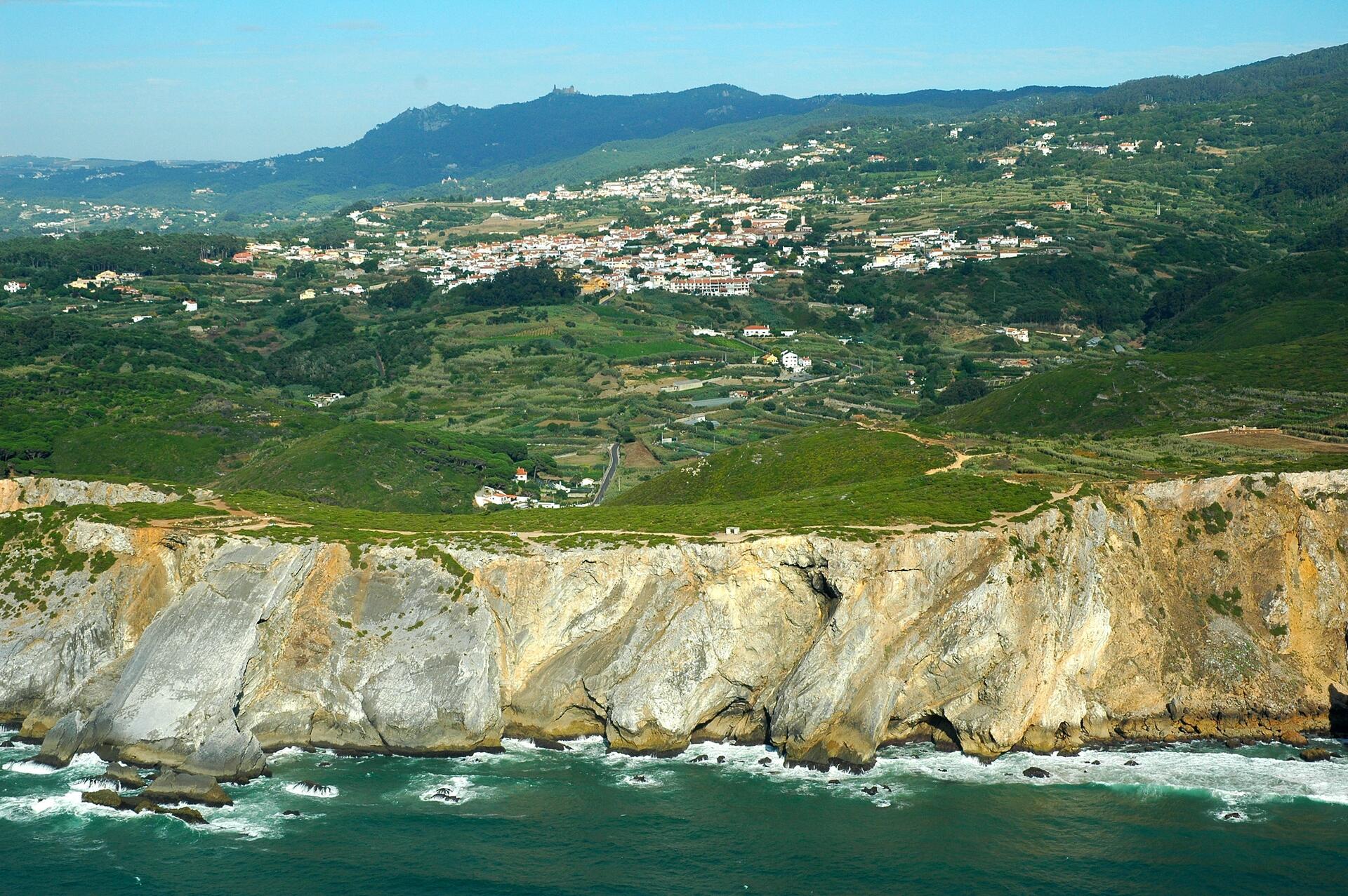 Vinhos da Costa Atlântica