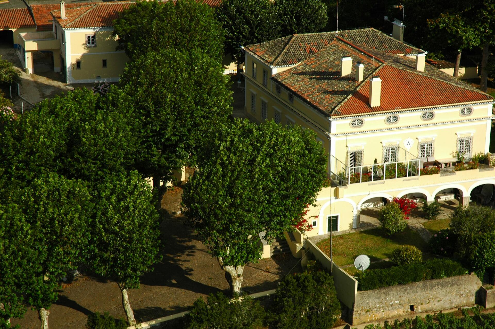 Vinhos da Costa Atlântica