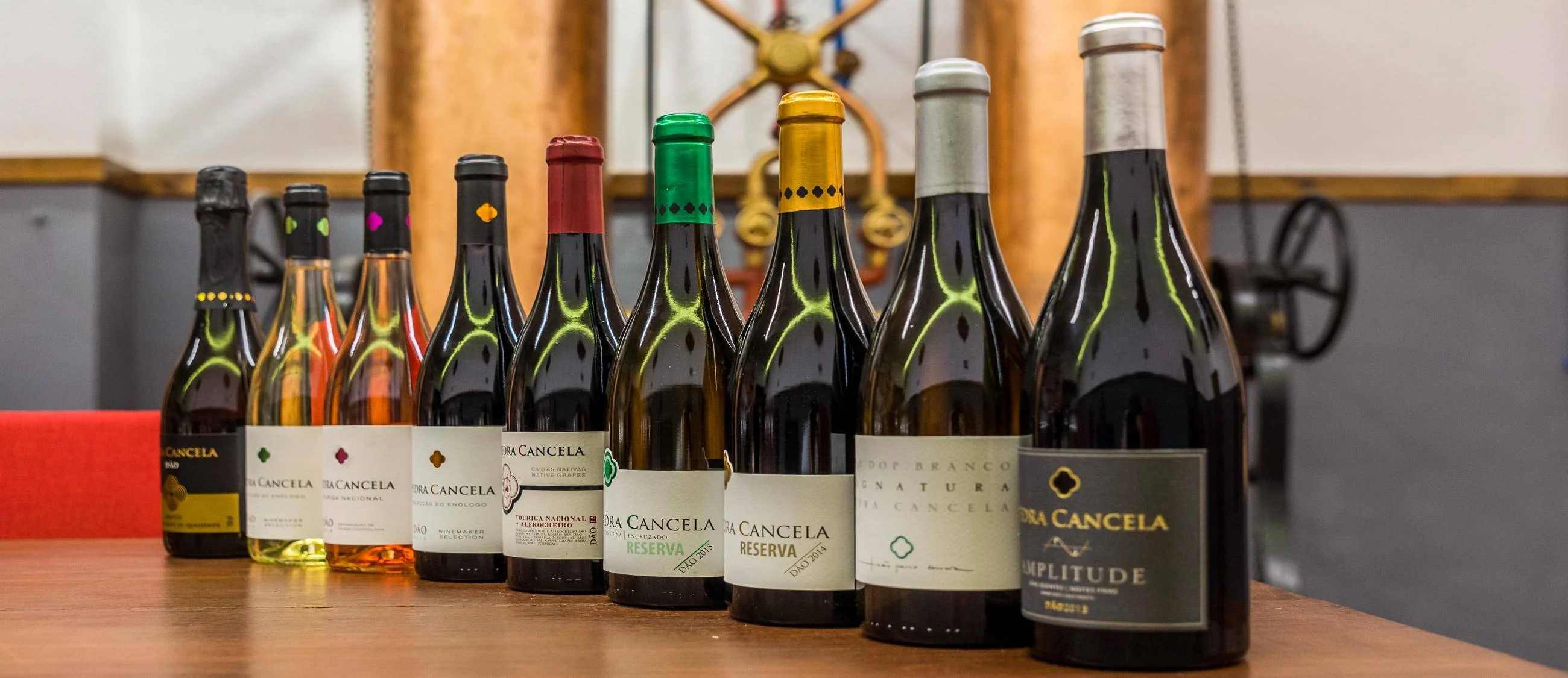 Pedra Cancela – Visita & Prova Castas