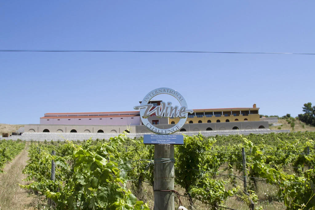 Adega Campolargo – Prova de Vinhos Entre II Santos