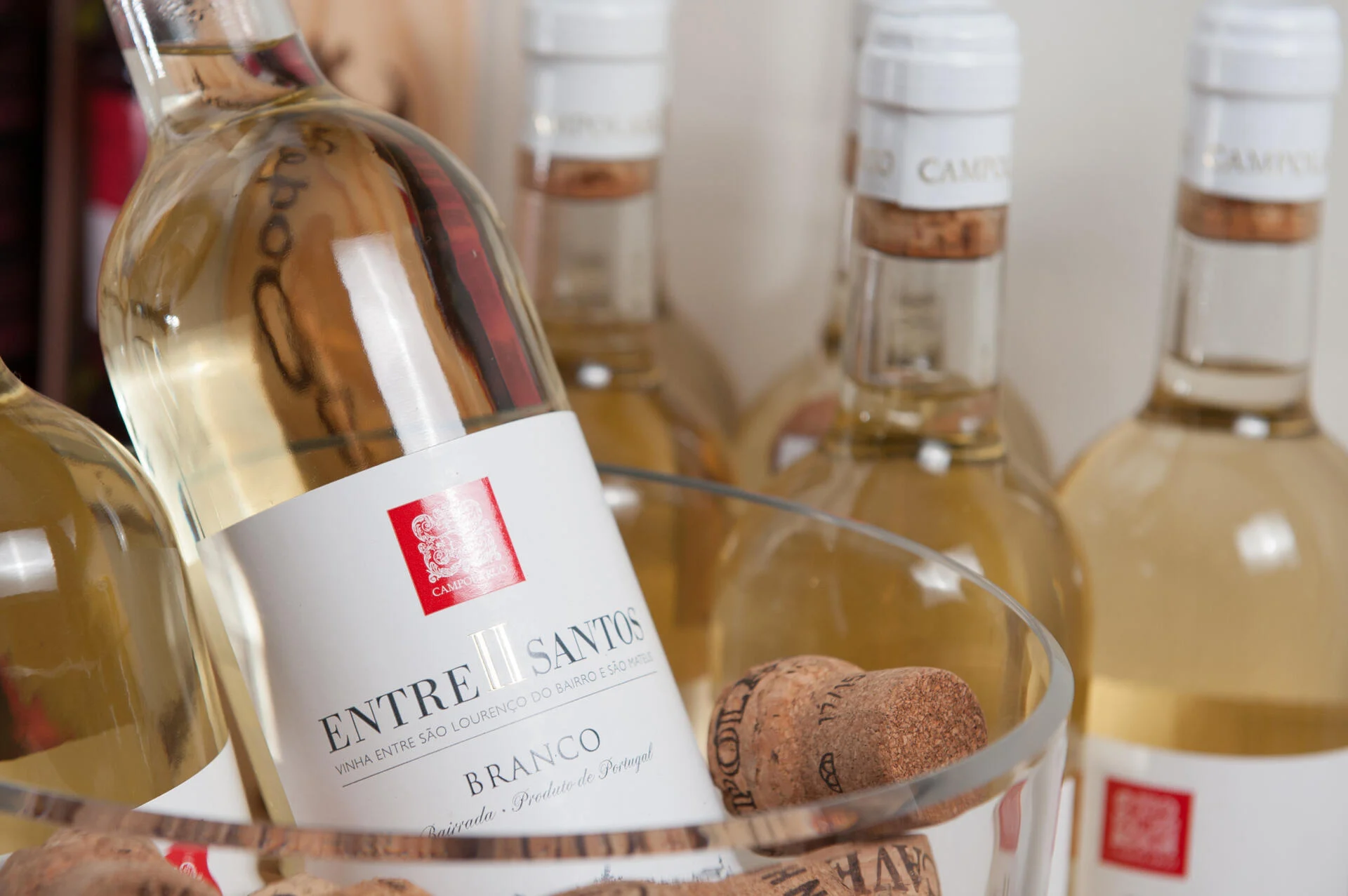 Adega Campolargo – Prova de Vinhos Entre II Santos