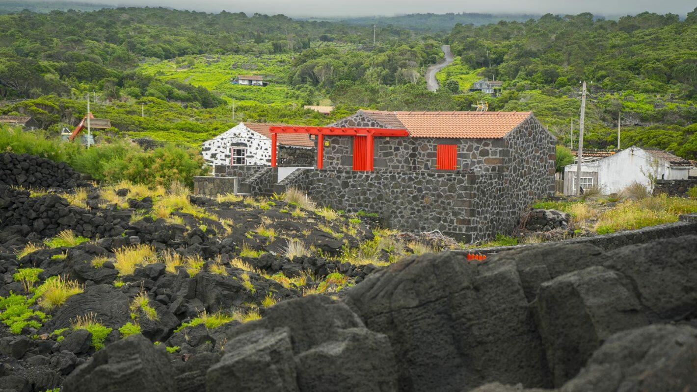 Tour Cultura do Vinho – Full day