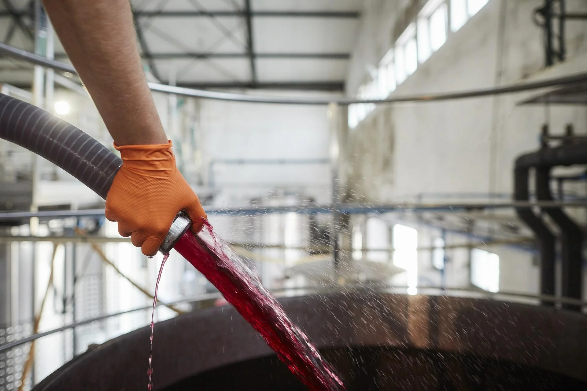 Família Margaça – Visita & Prova de Vinhos Reserva