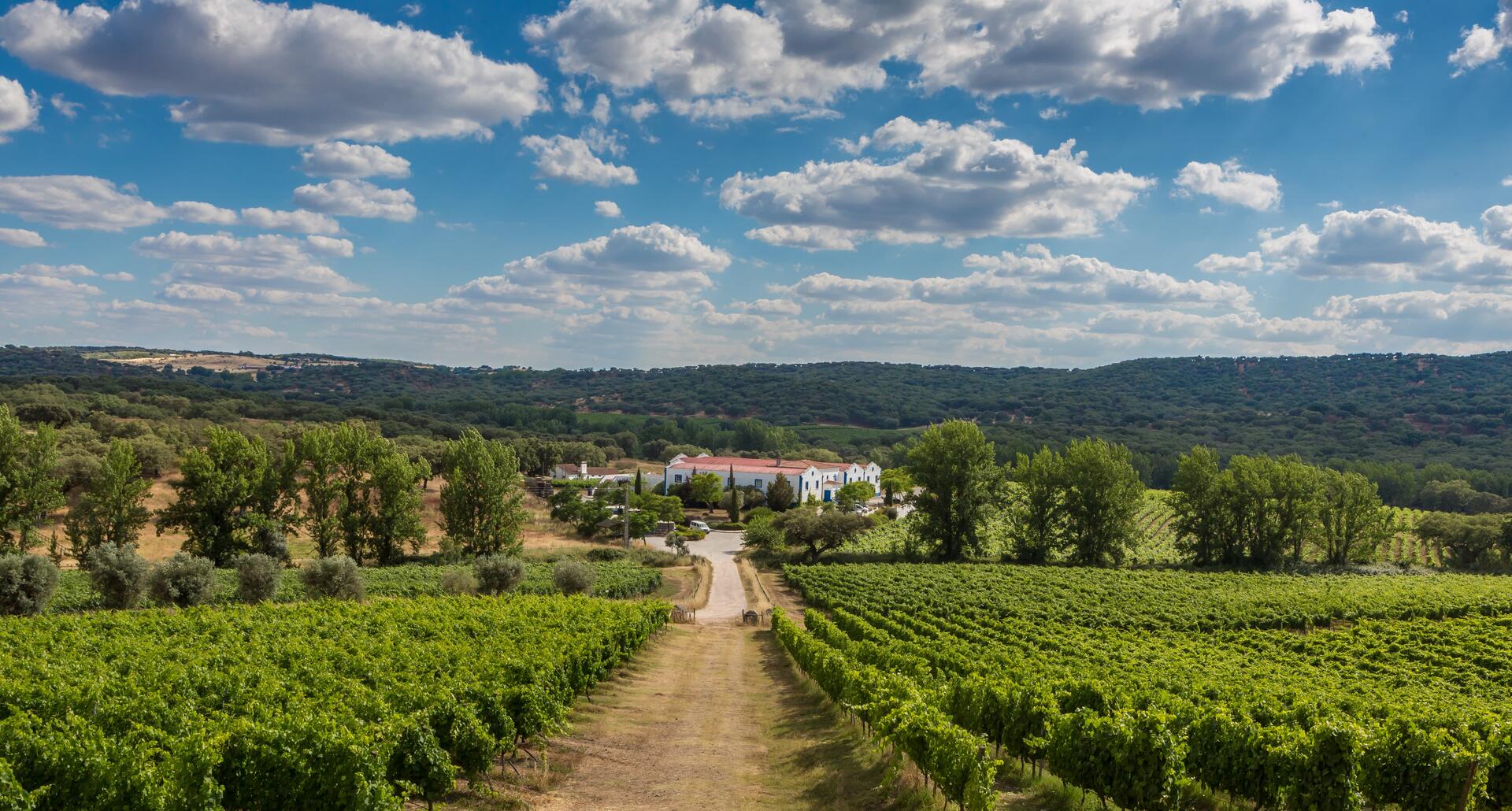 Monte da Ravasqueira – Visita & Prova Heritage