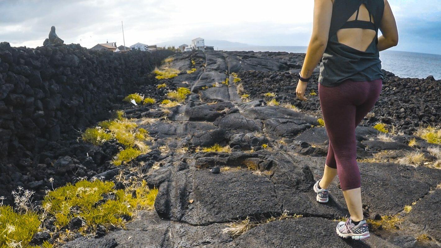 Tour Vinho & Tapas – Meio Dia