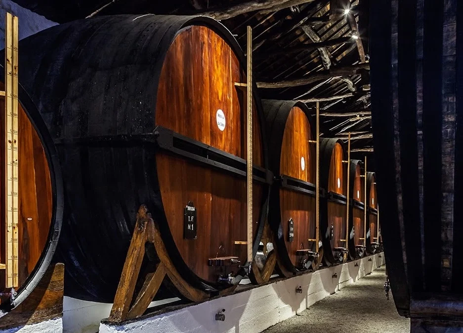 Caves Taylor’s- Tawny Experience