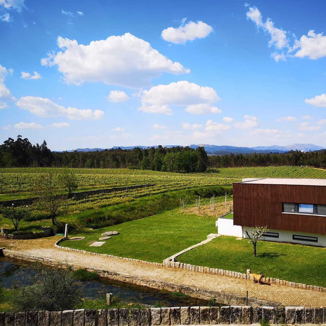 Quinta de Santiago – Piquenique nas Vinhas