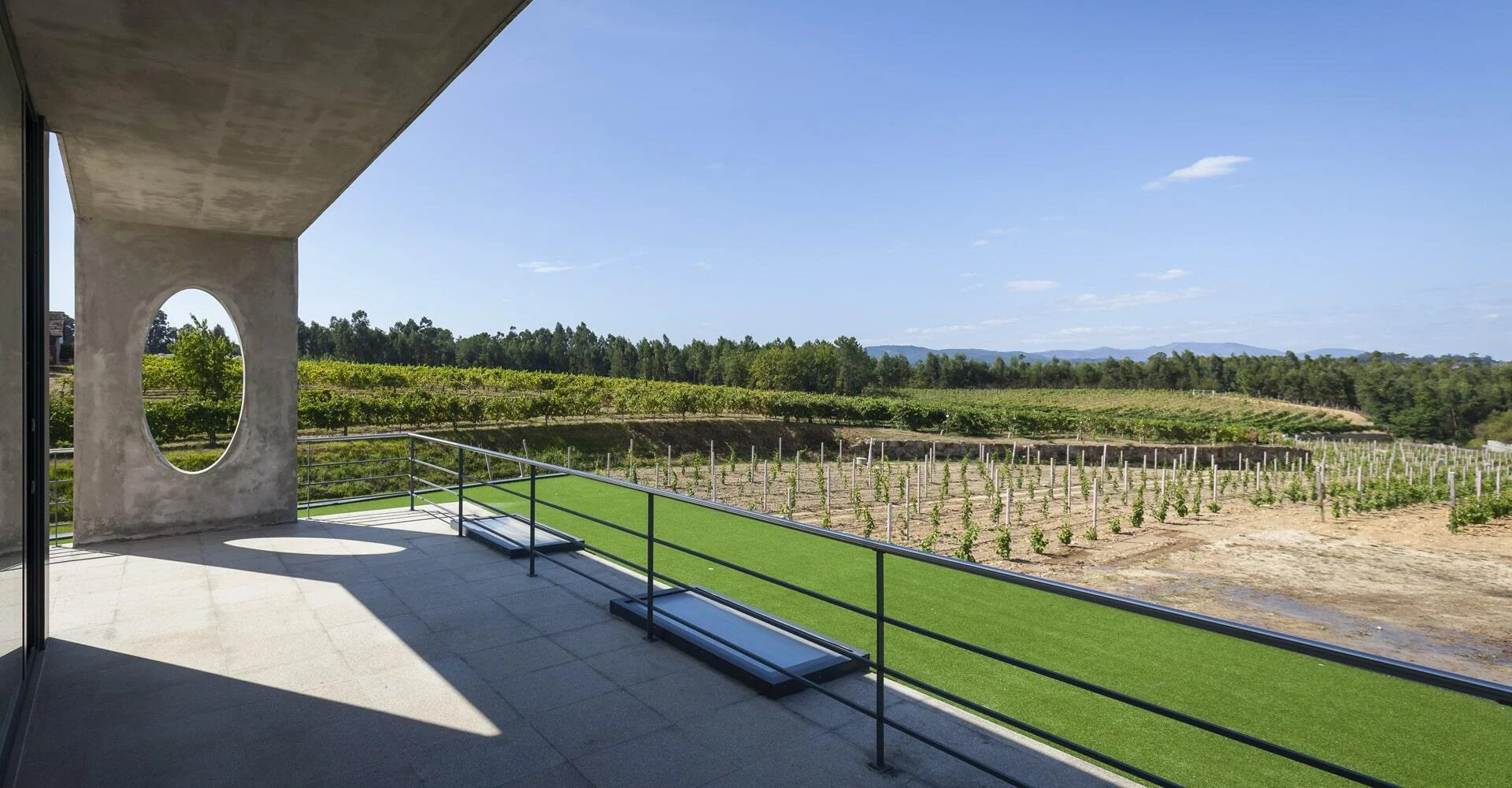 Quinta de Santiago – Vindimas