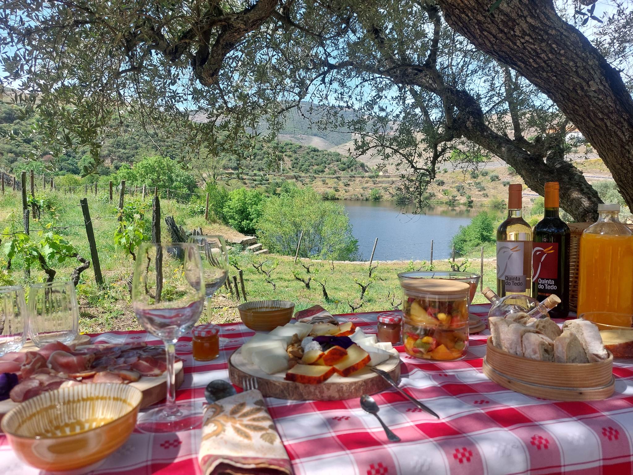 Quinta do Tedo – Visita & Piquenique Regional