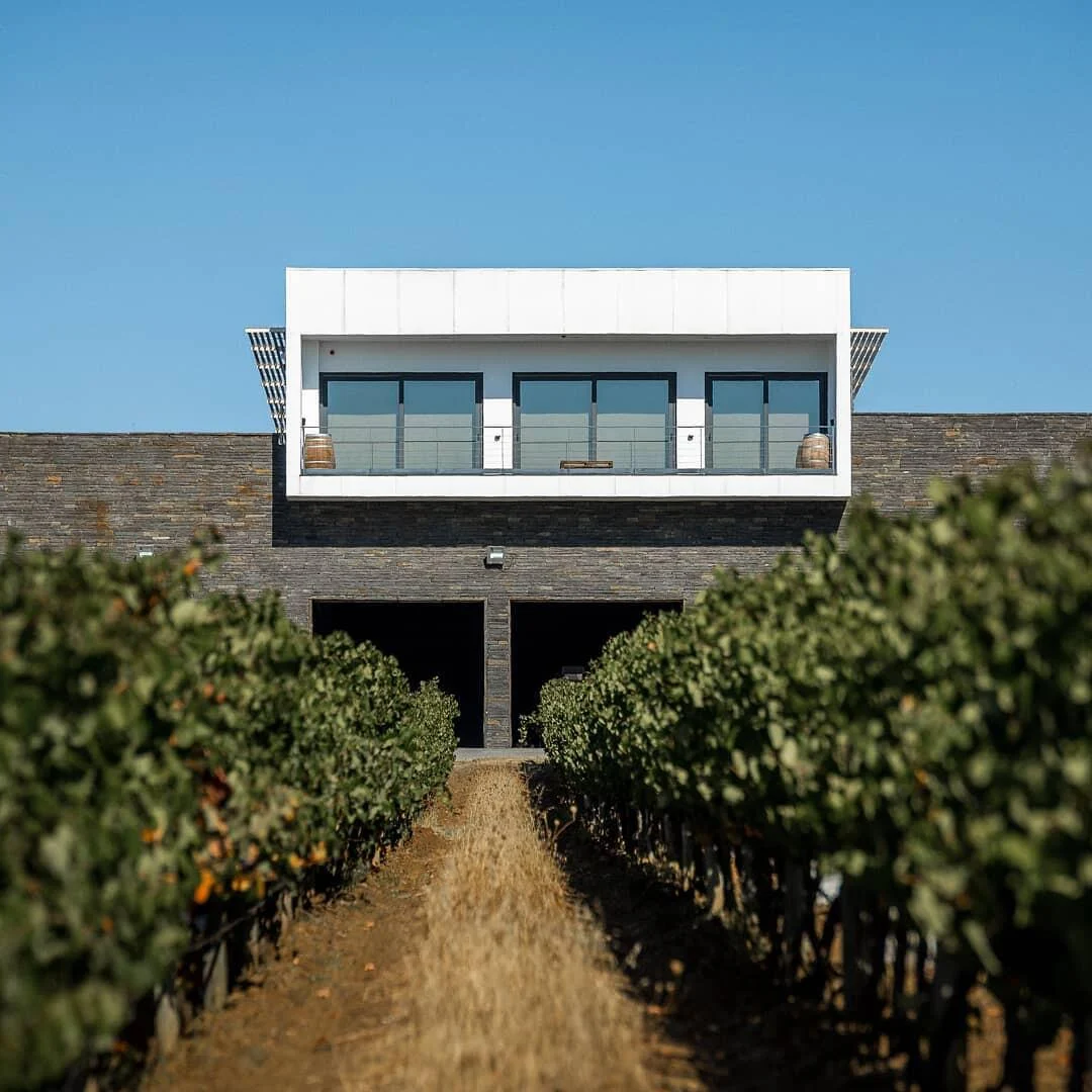 Ribafreixo Wines – Visita, Prova & Almoço