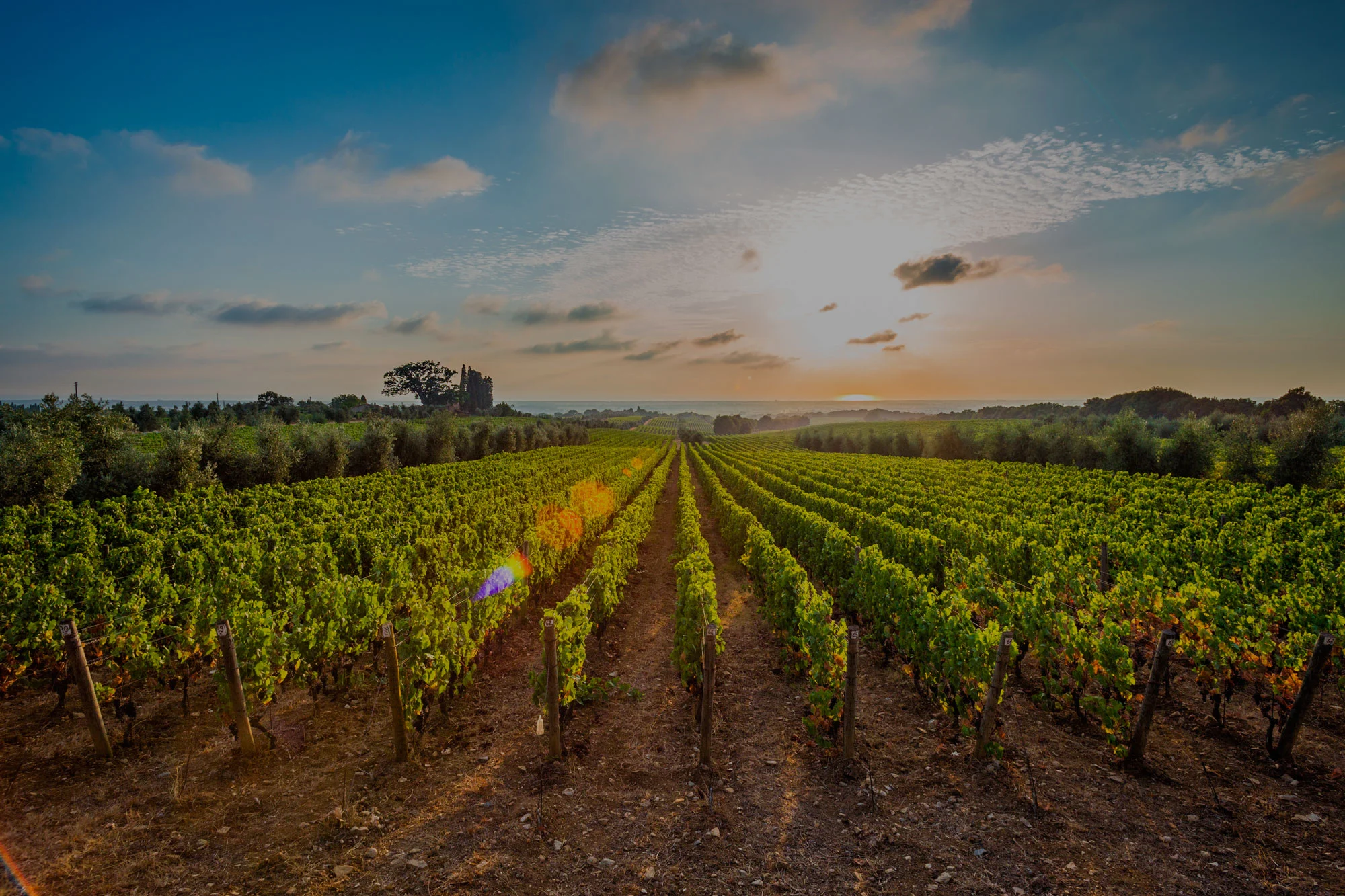 Algarve de Tradição & Sabores