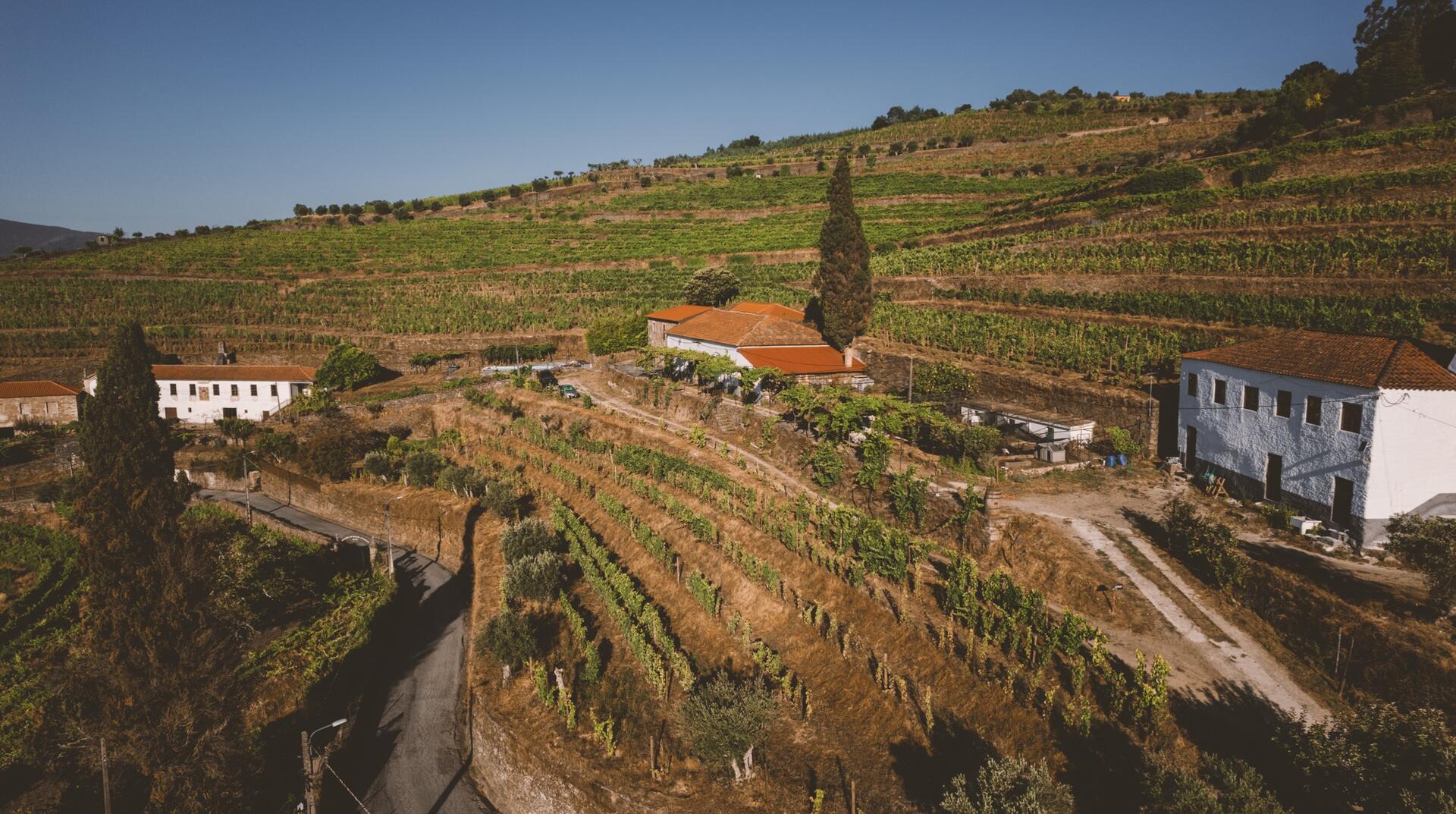 Quinta de Sobre a Fonte – Visita & Prova de Vinhos